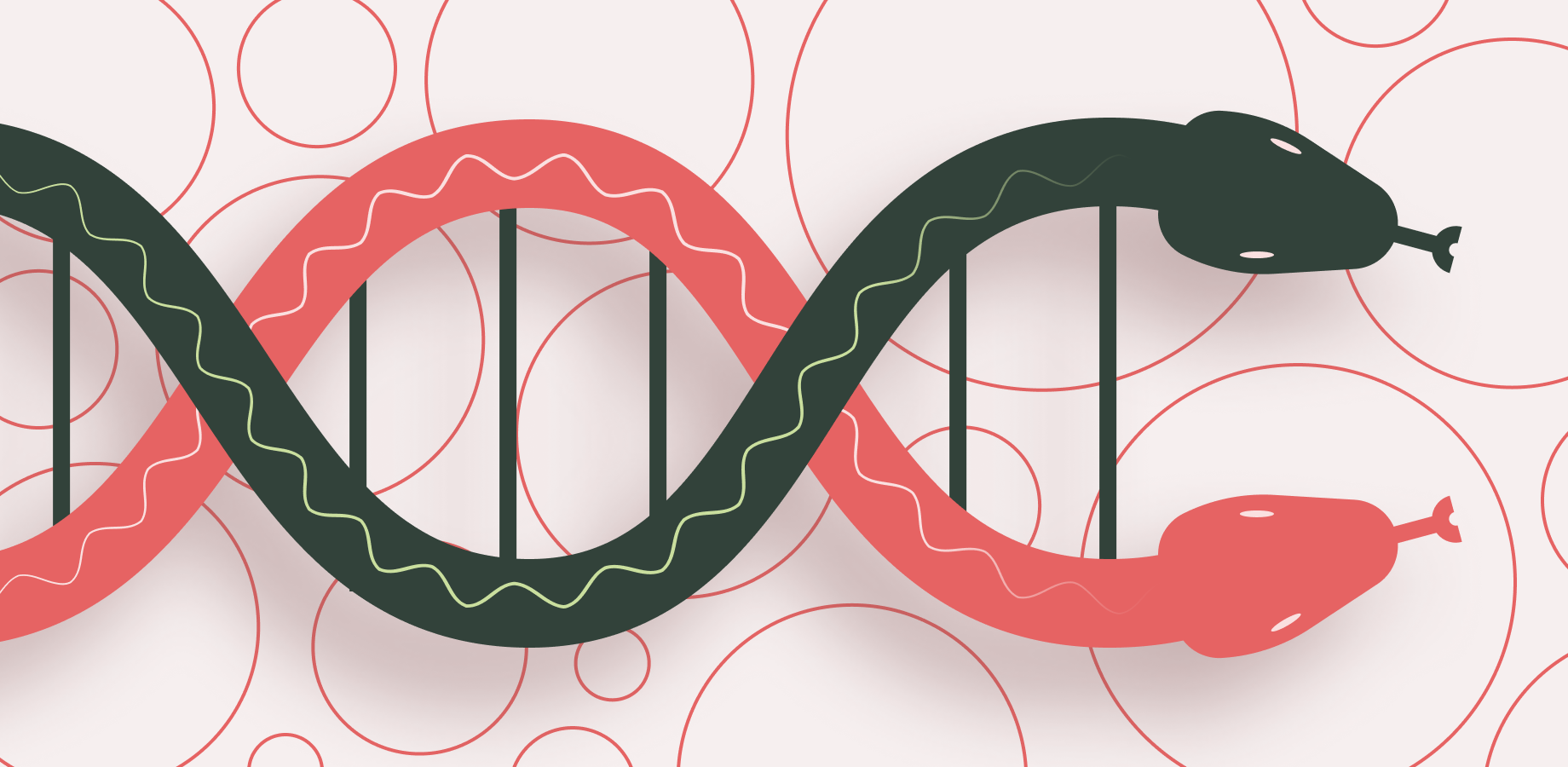 Why Your Body May Need More Than The “Recommended Dietary Allowance” of Certain Nutrients