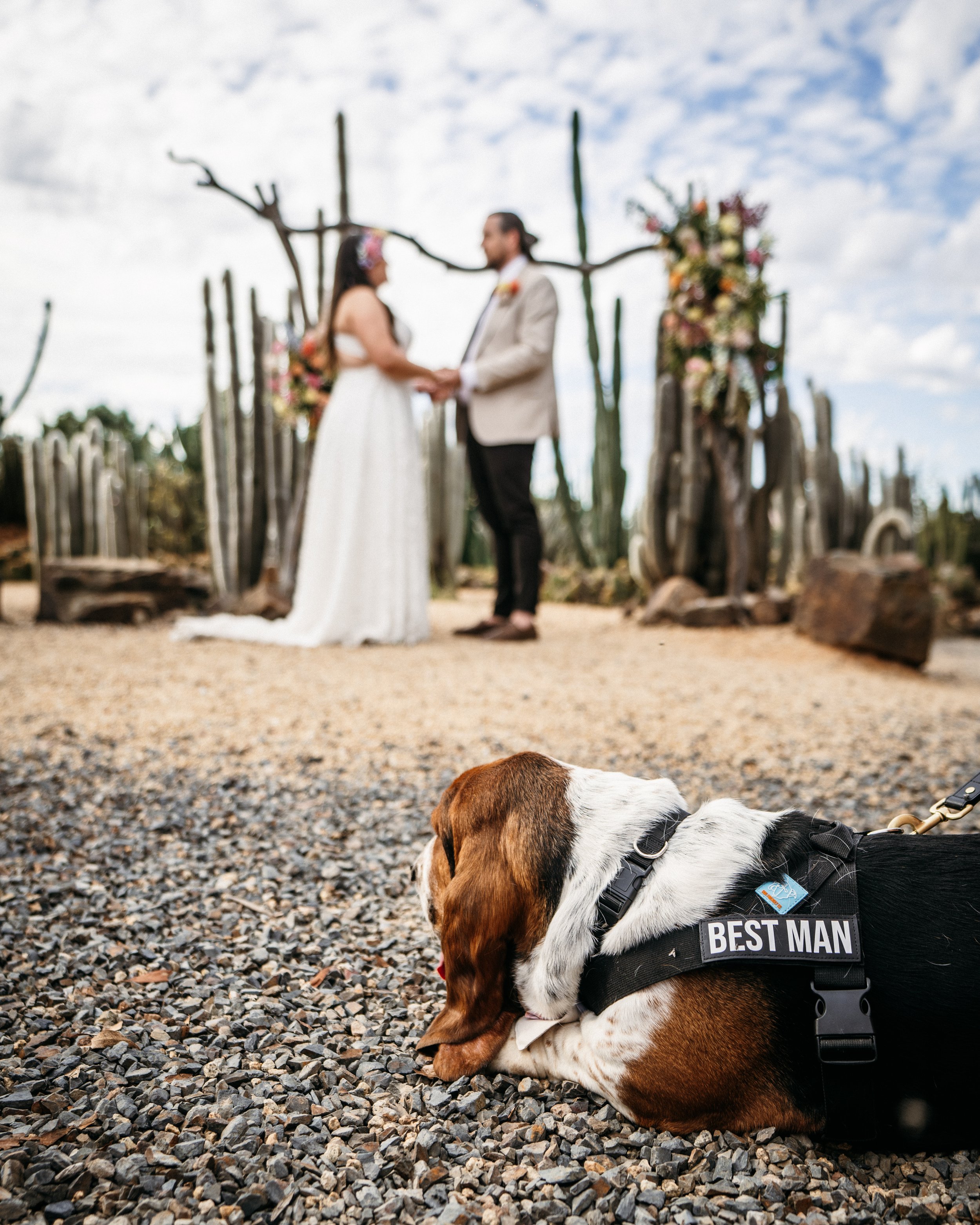 next level wedding ceremony tips