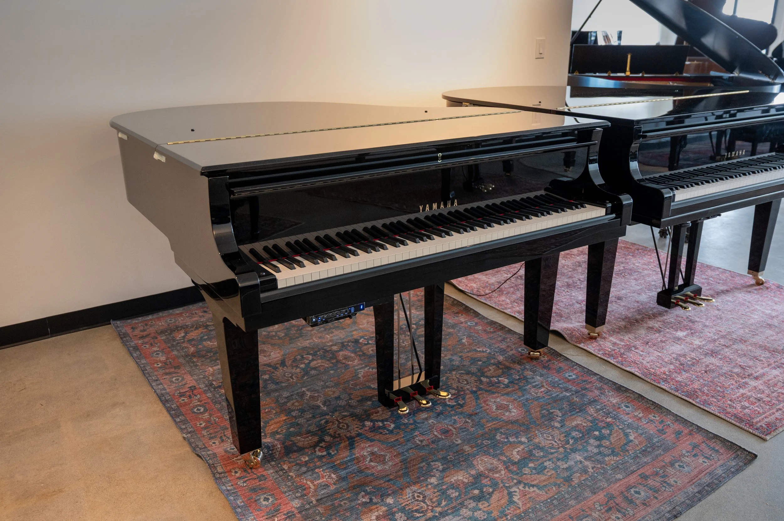 Yamaha C1X Silent6363.jpg