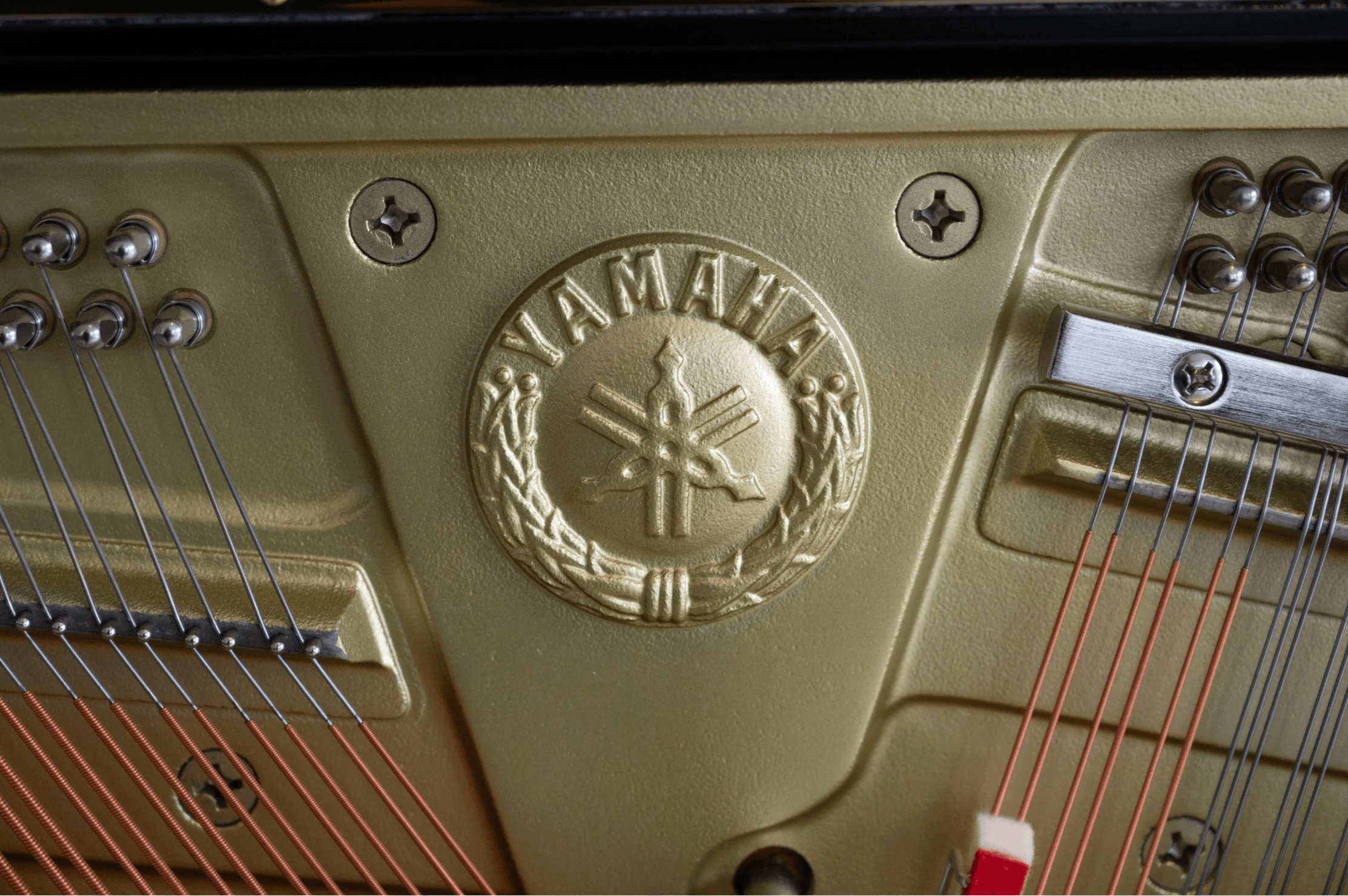 Yamaha YUS5 2026-05-04 at 5.40.27 PM.png