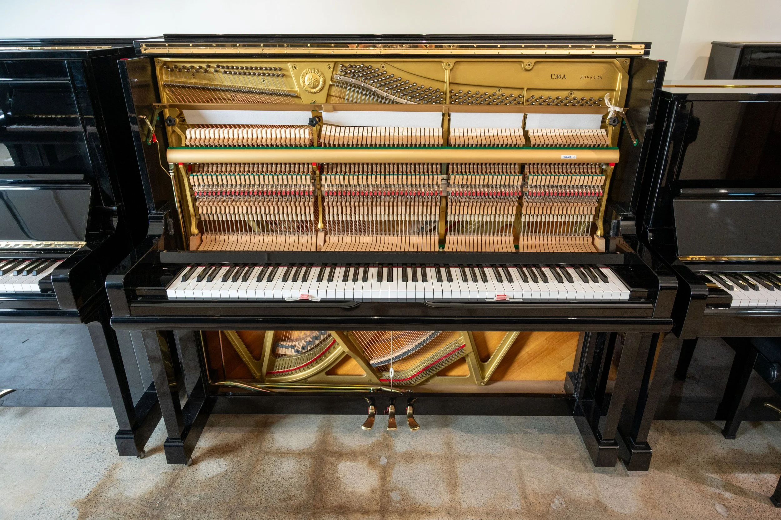 DSC_8245.jpg