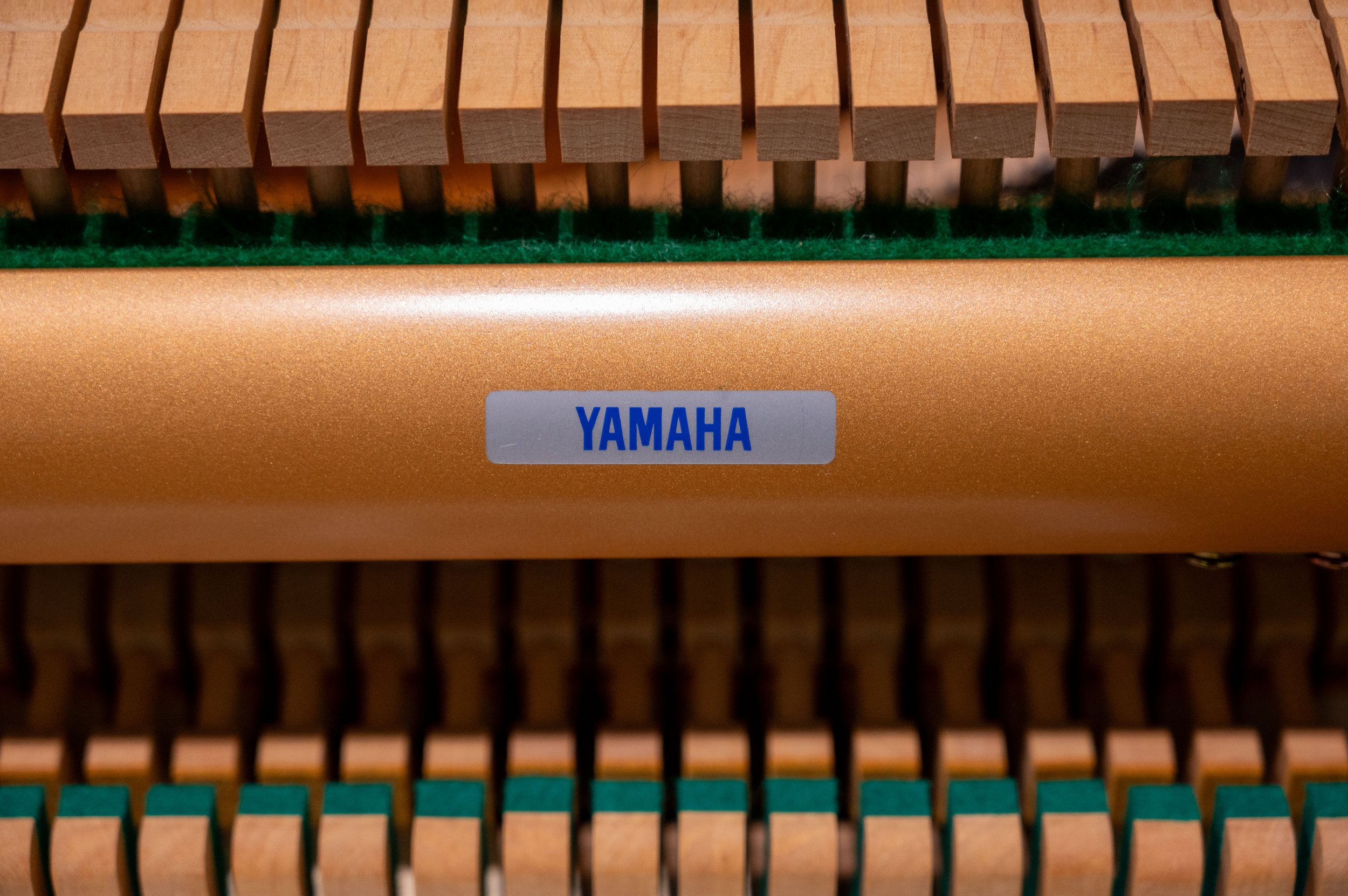 DSC_7477.jpg