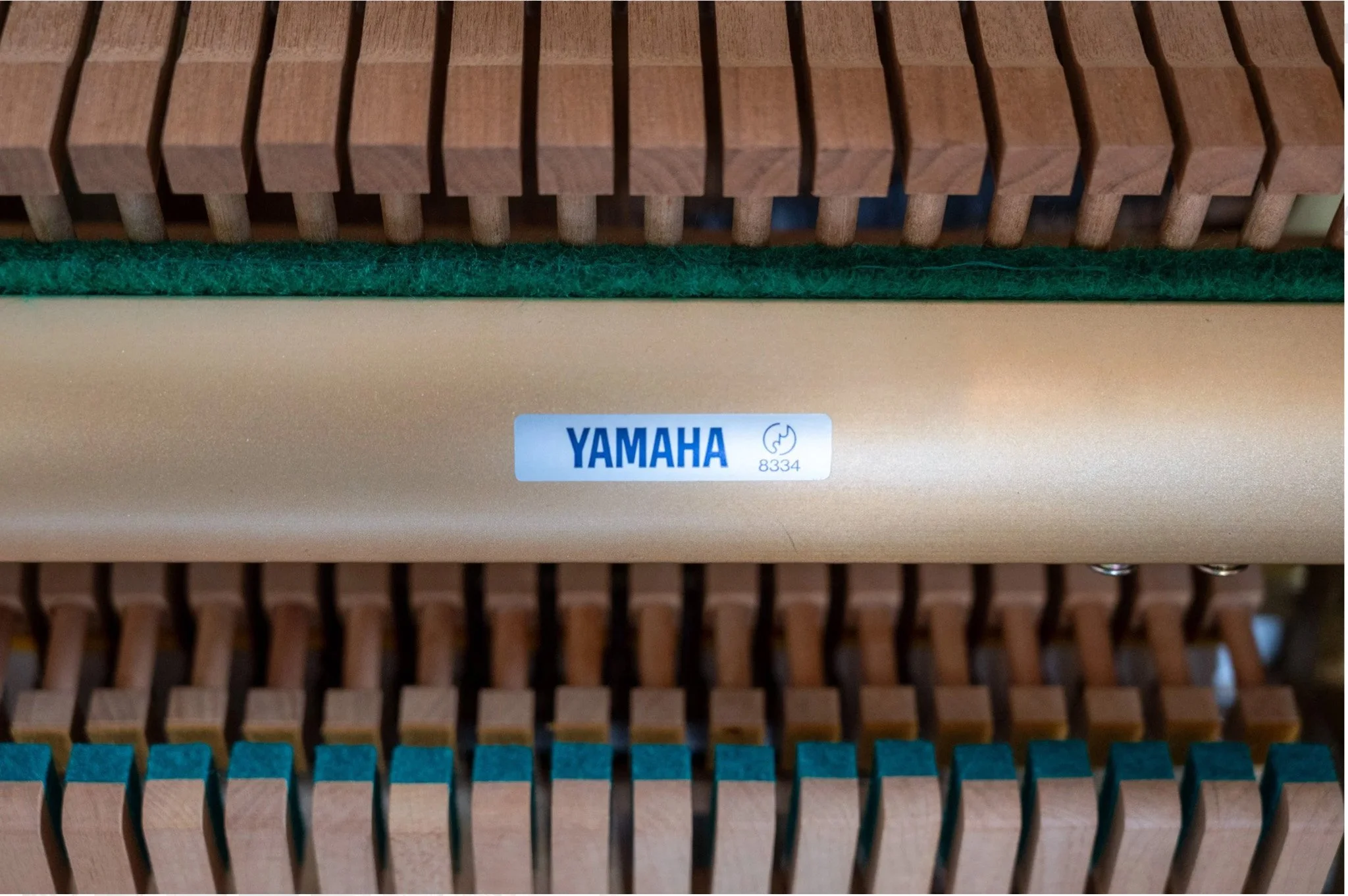 YU5-06.jpg