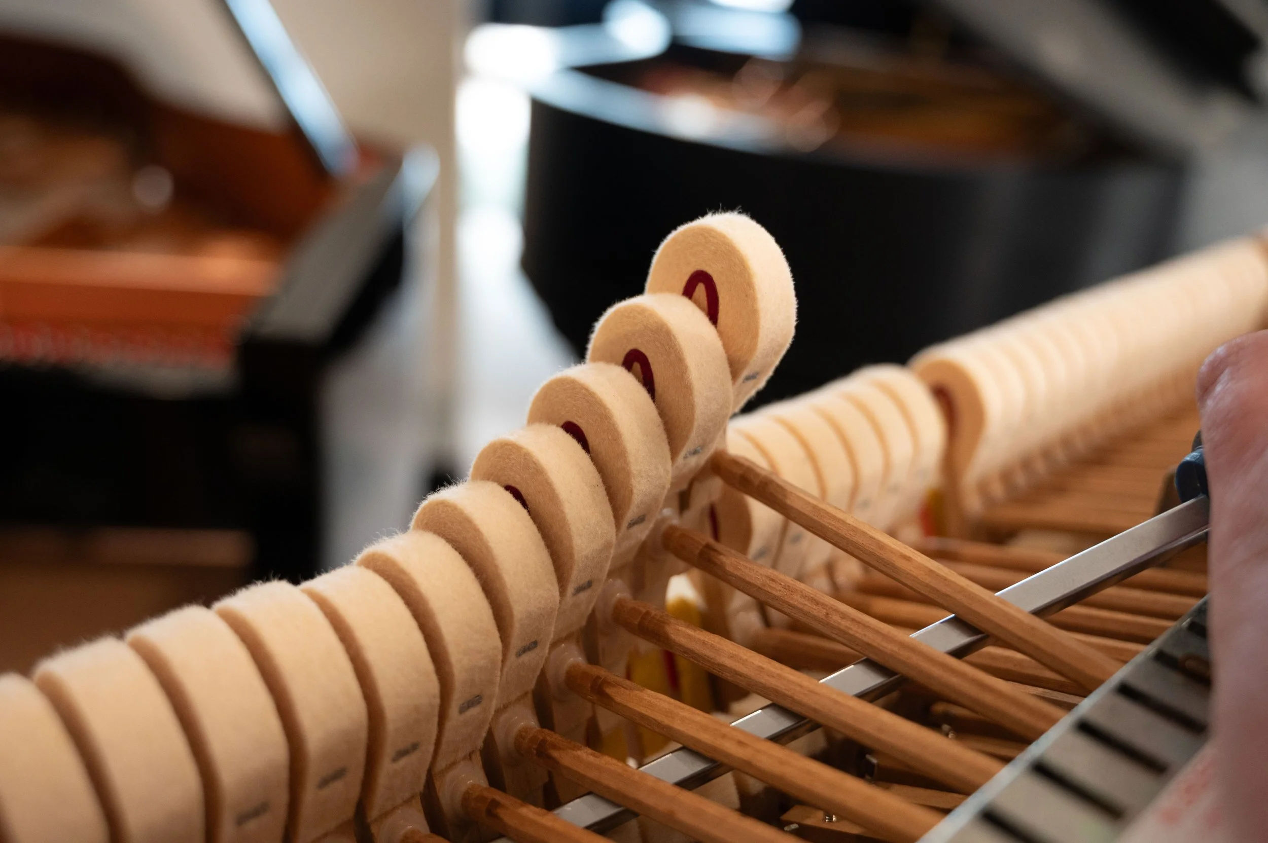 DSC_6587-2.jpg