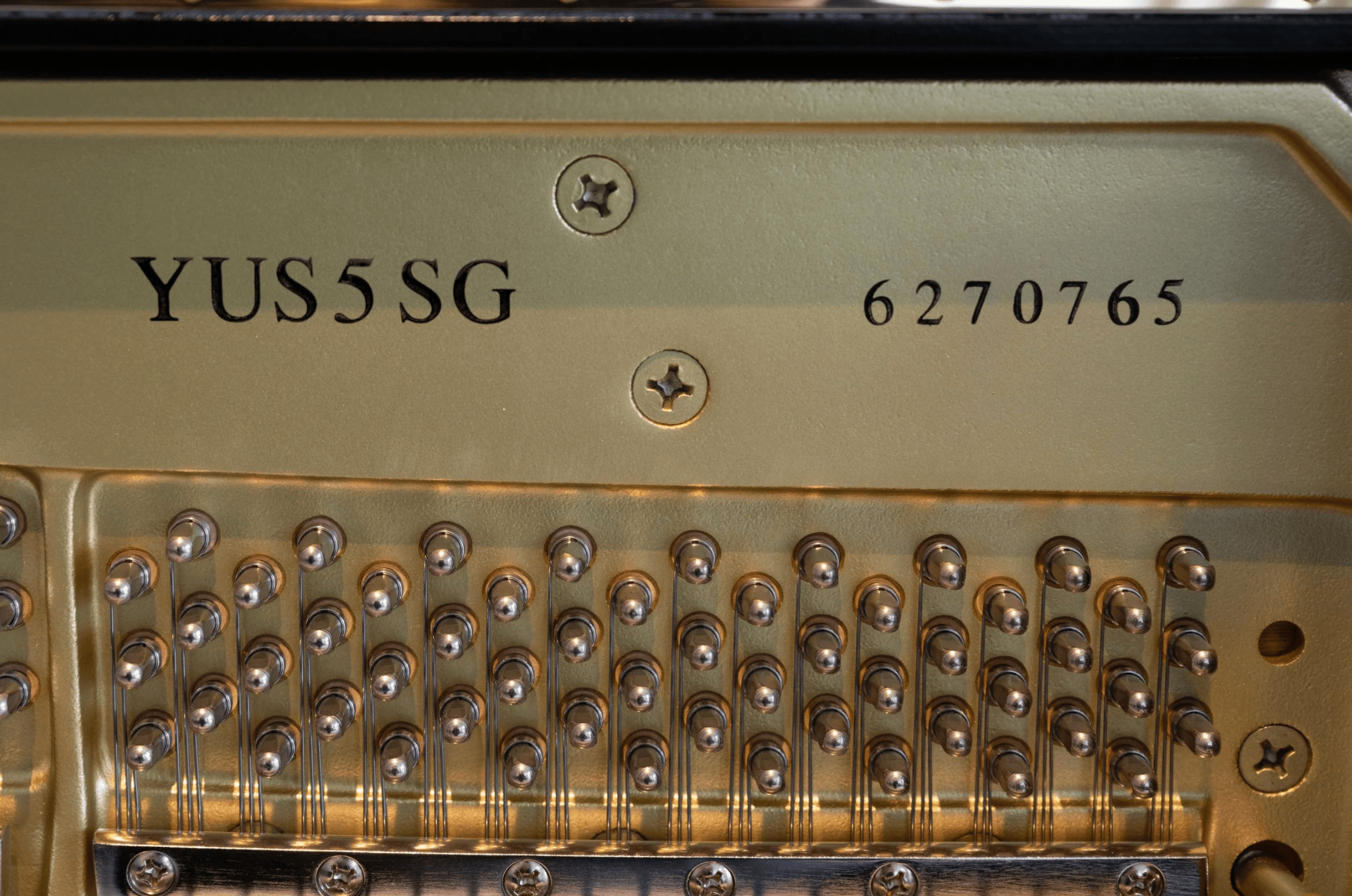 Yamaha YUS5 2026-05-04 at 5.40.07 PM.png