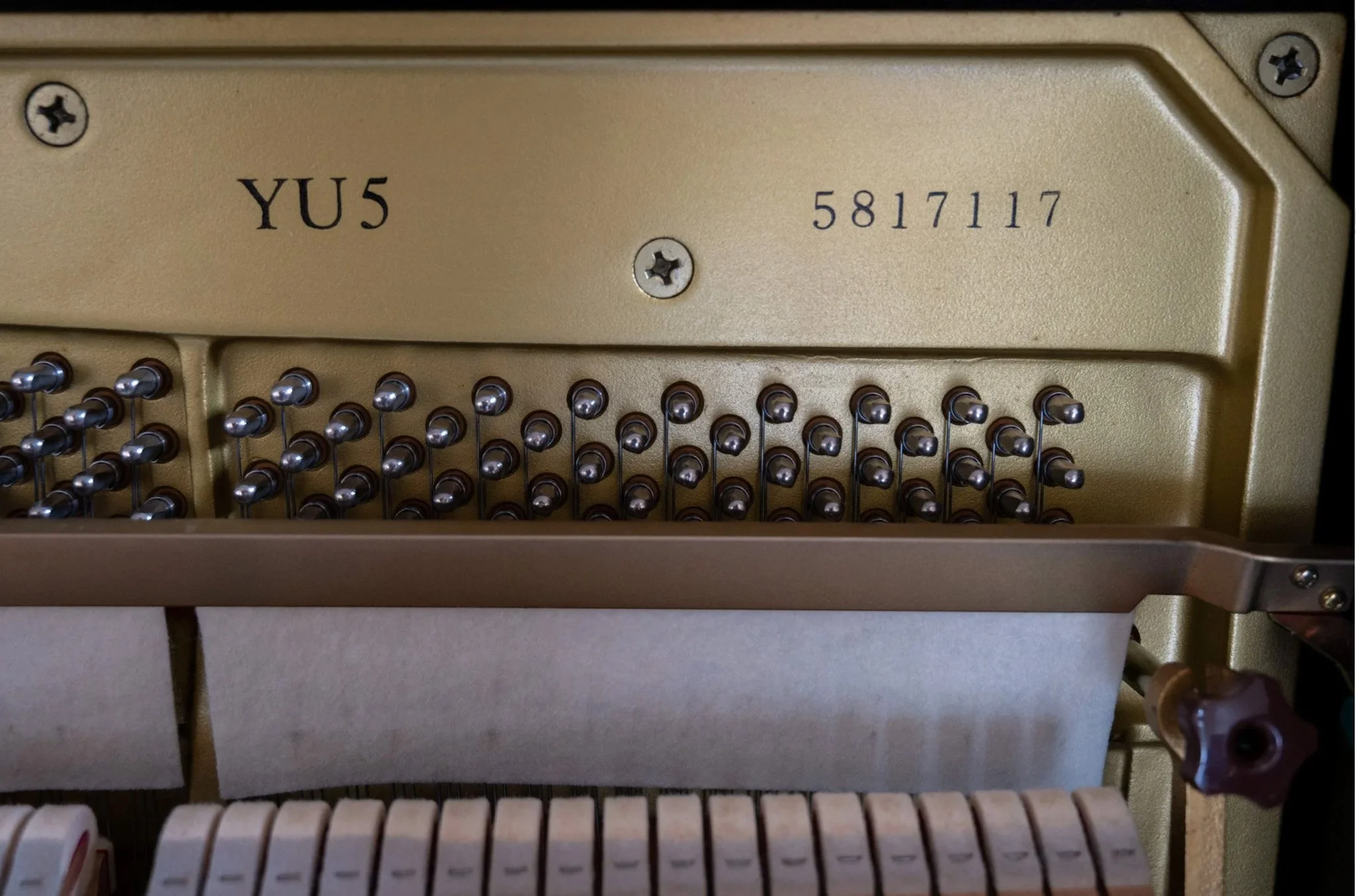 YU5-07.jpg