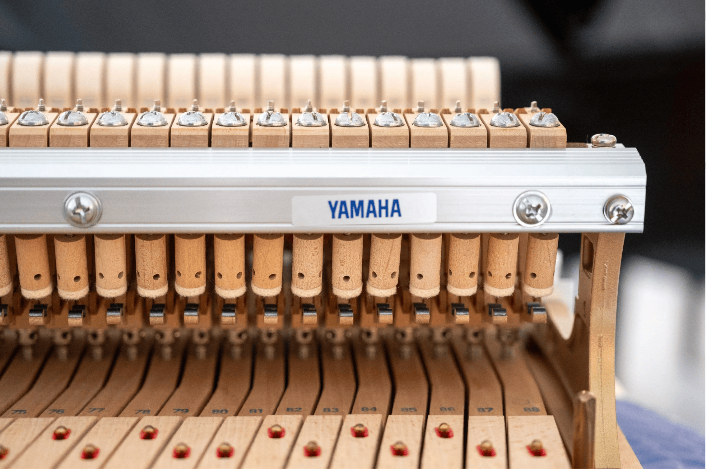 Yamaha C3 2026-05-04 at 2.57.57 PM.png