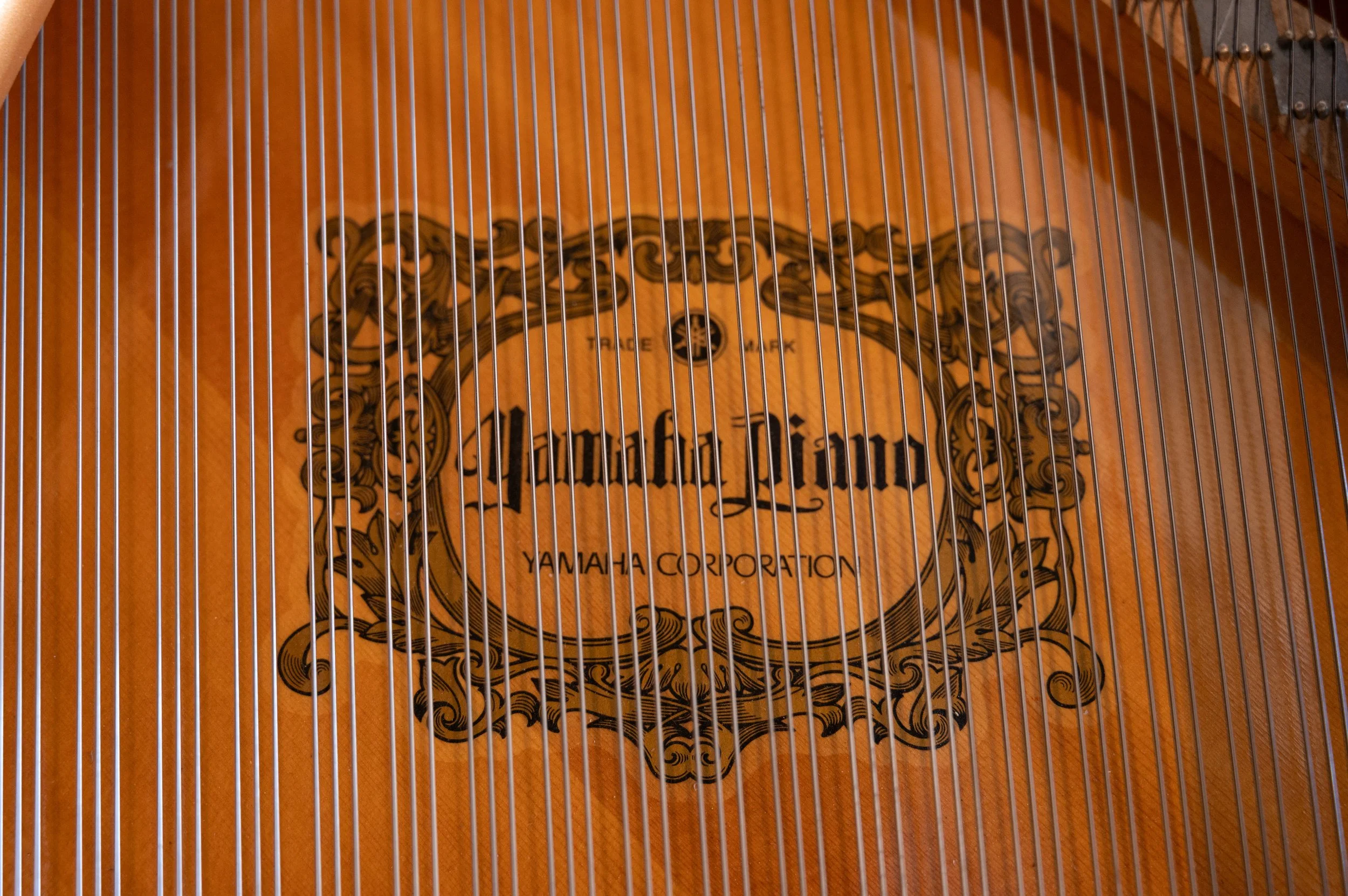 DSC_5528.jpg