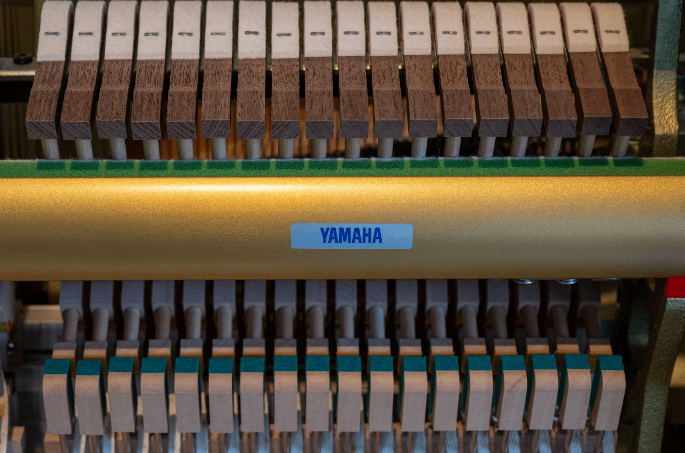 Yamaha YUS5 2026-05-04 at 5.40.35 PM.png