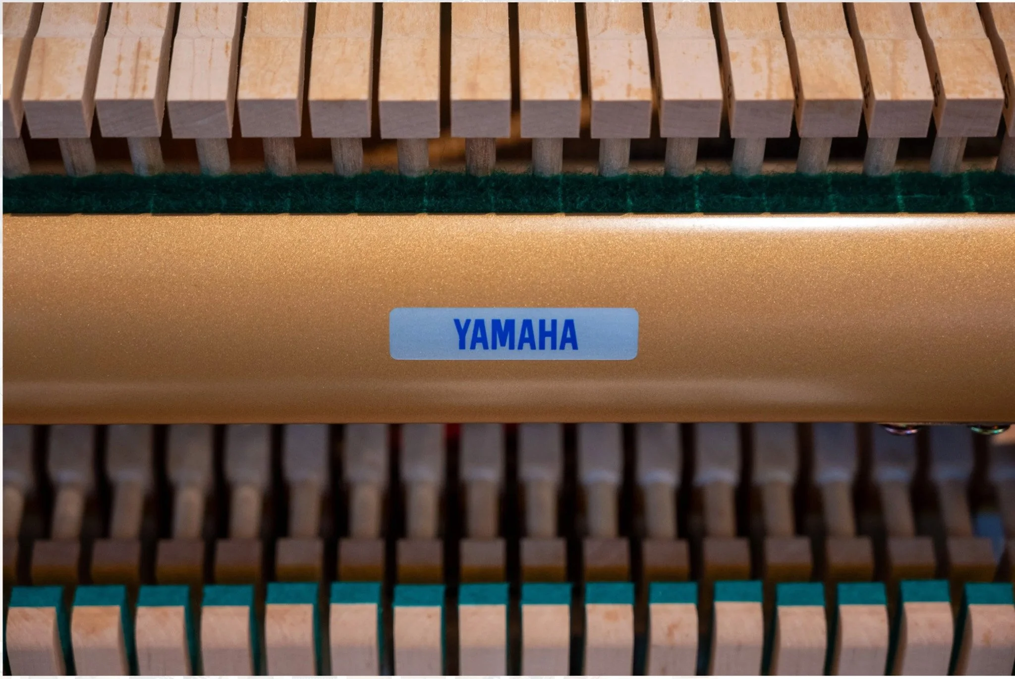 Yamaha B3-08.jpg
