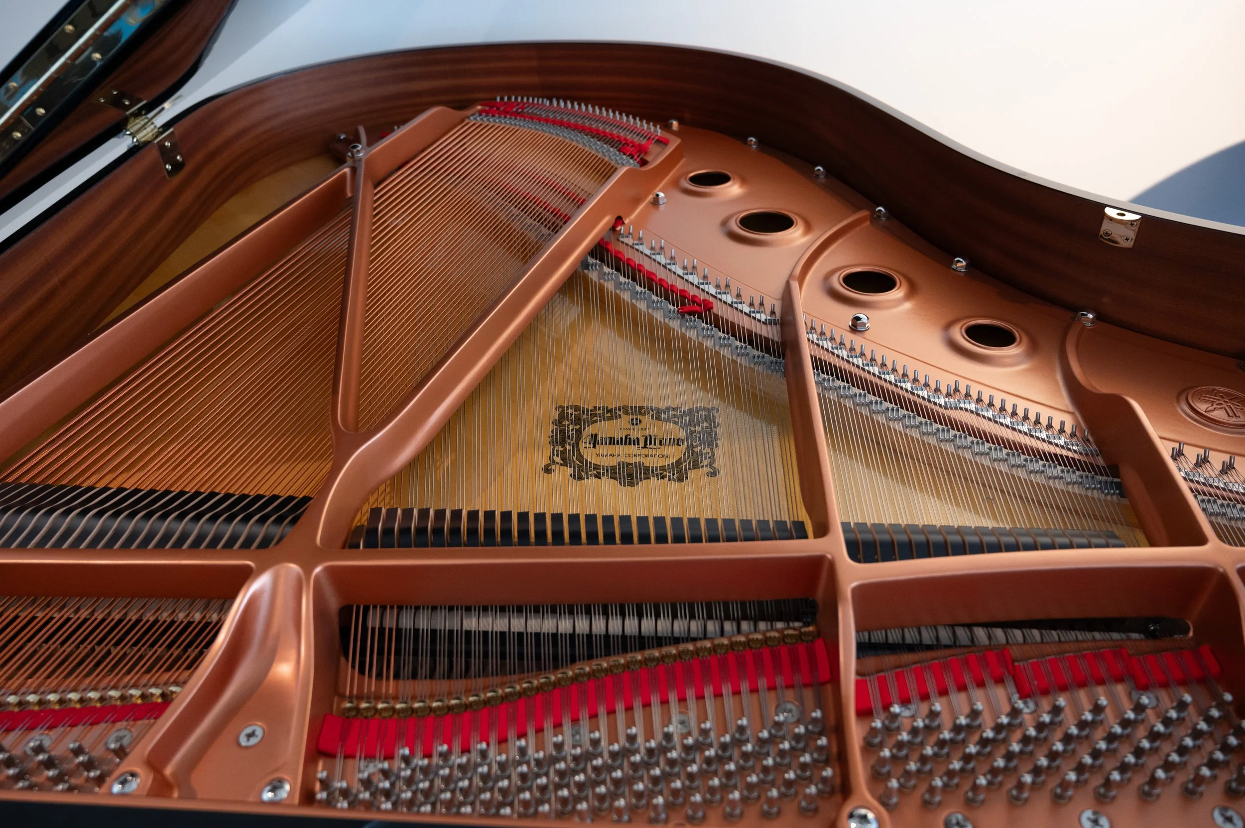 Yamaha C1X Silent6367.jpg