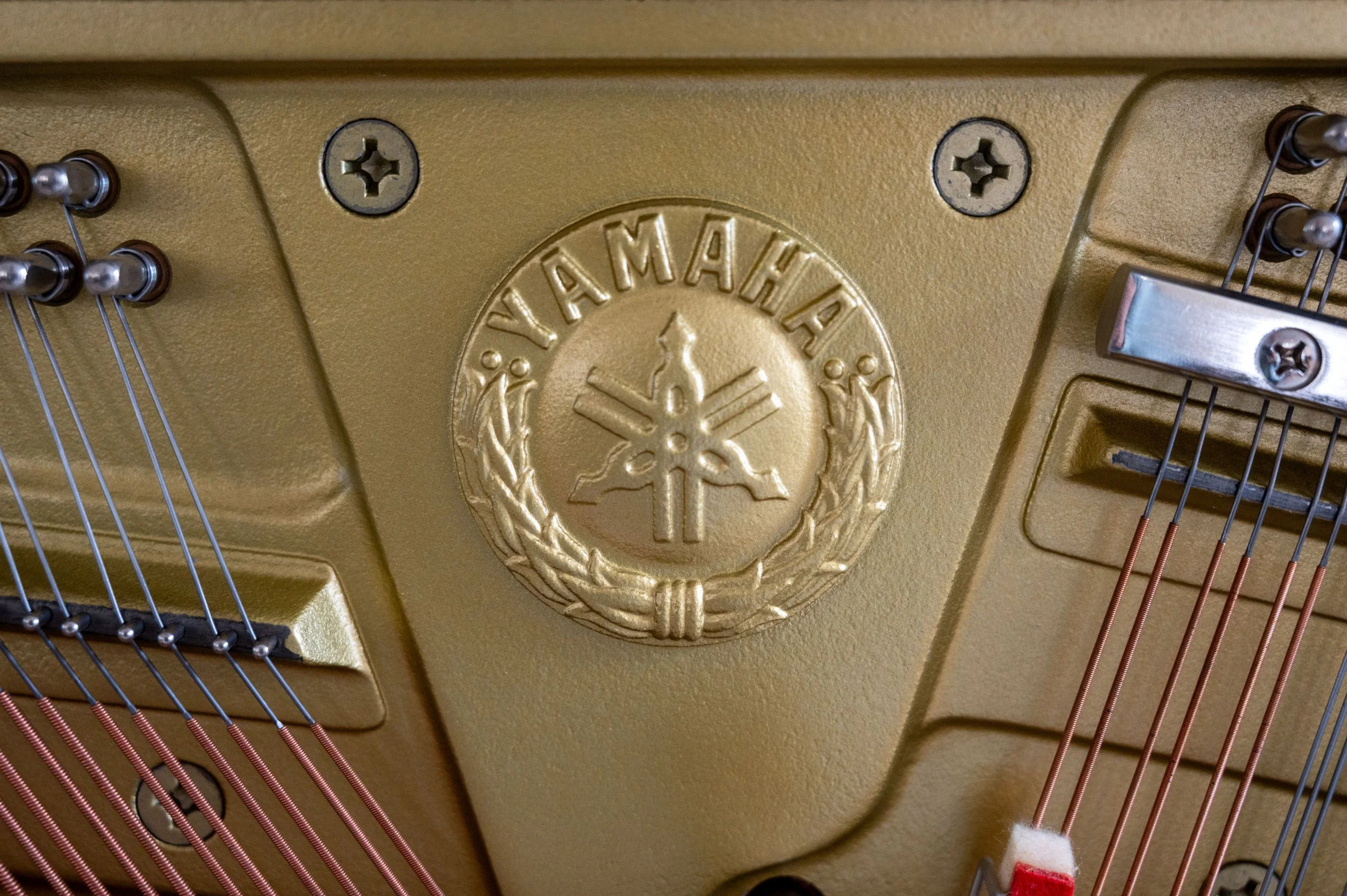 DSC_8906.jpg