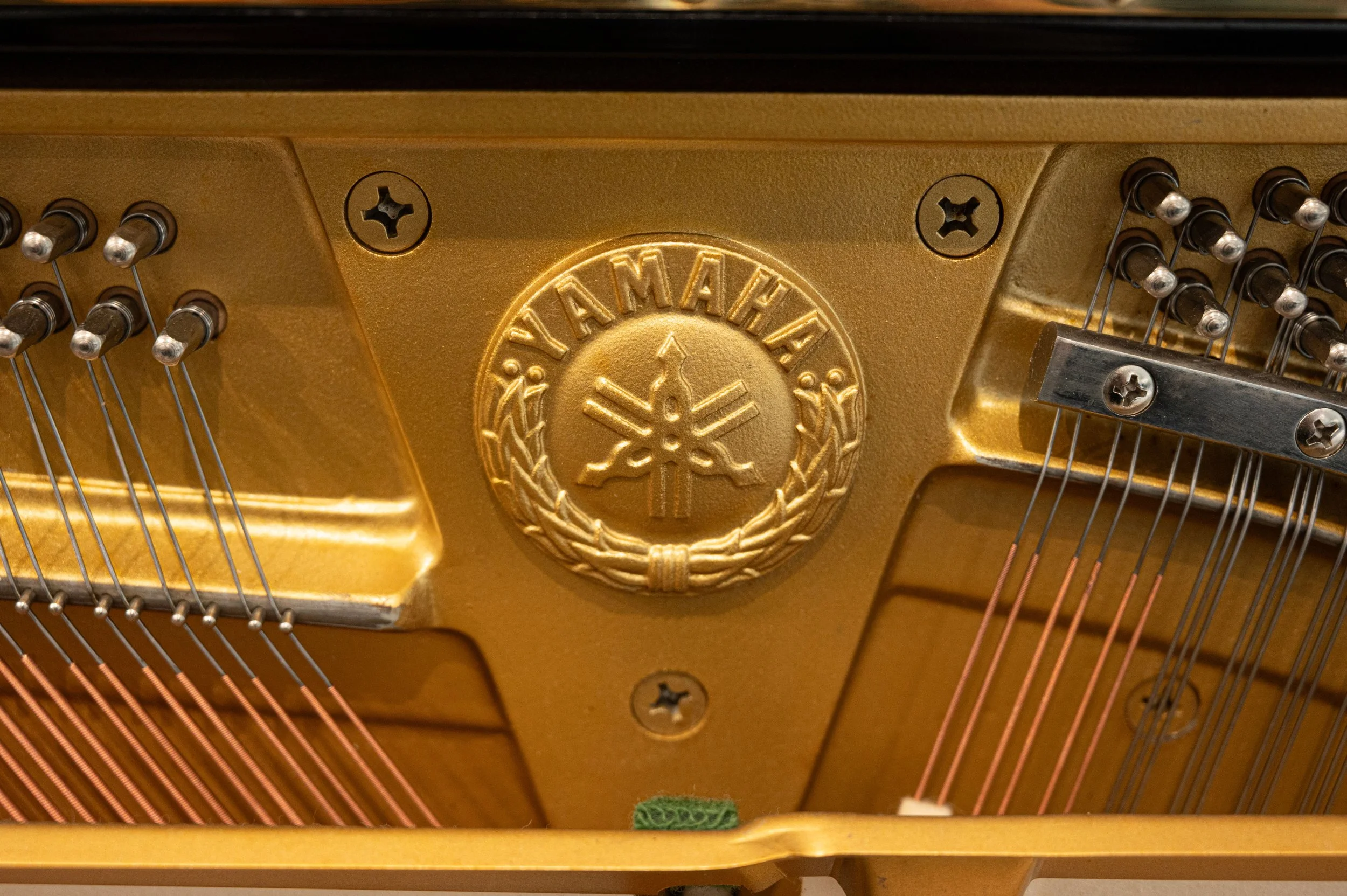 DSC_8218.jpg