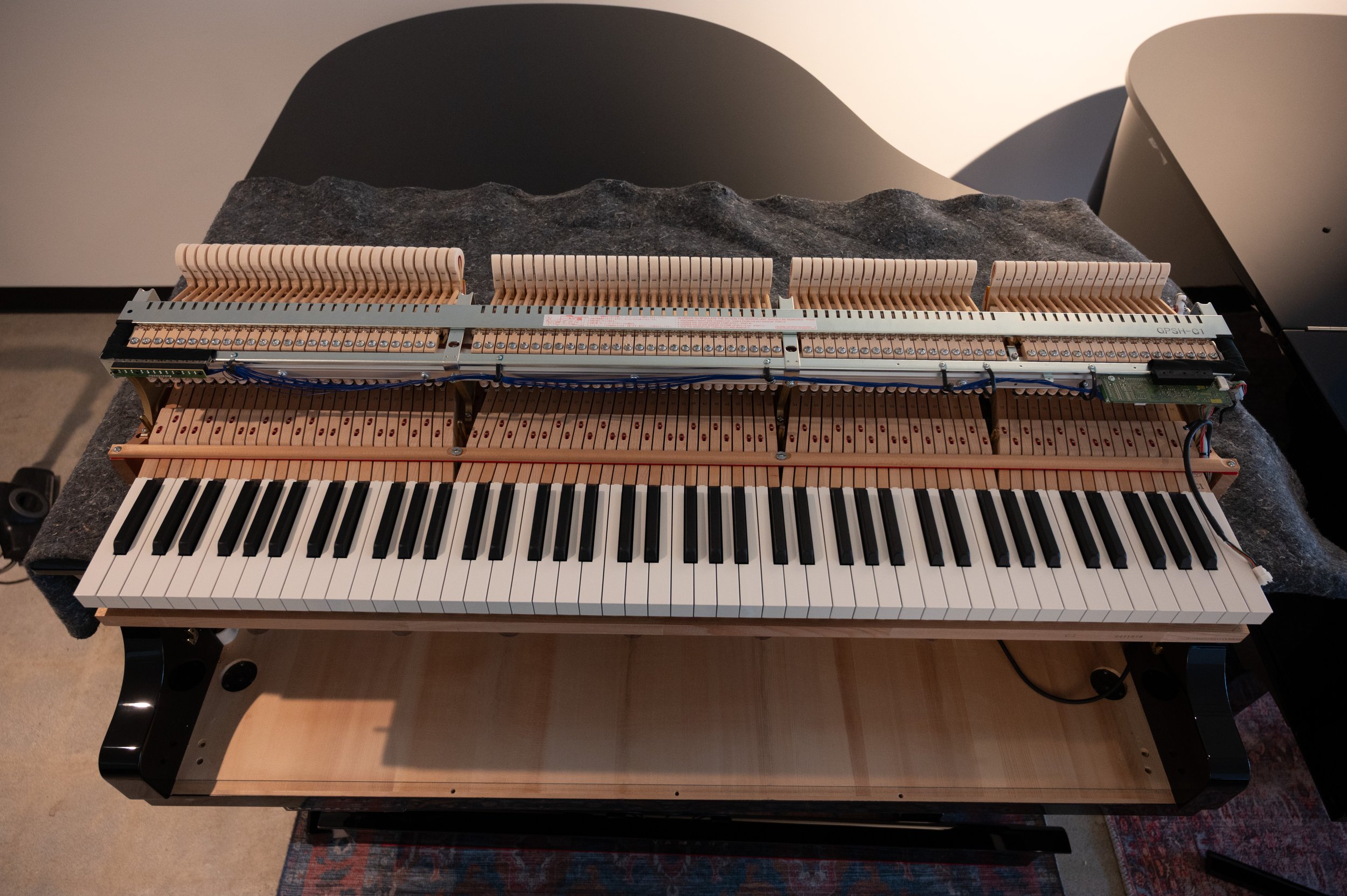 Yamaha C1X Silent6349.jpg