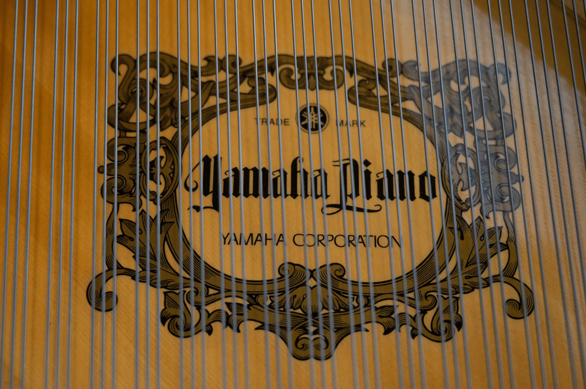 Yamaha C3 2026-05-04 at 2.57.31 PM.png