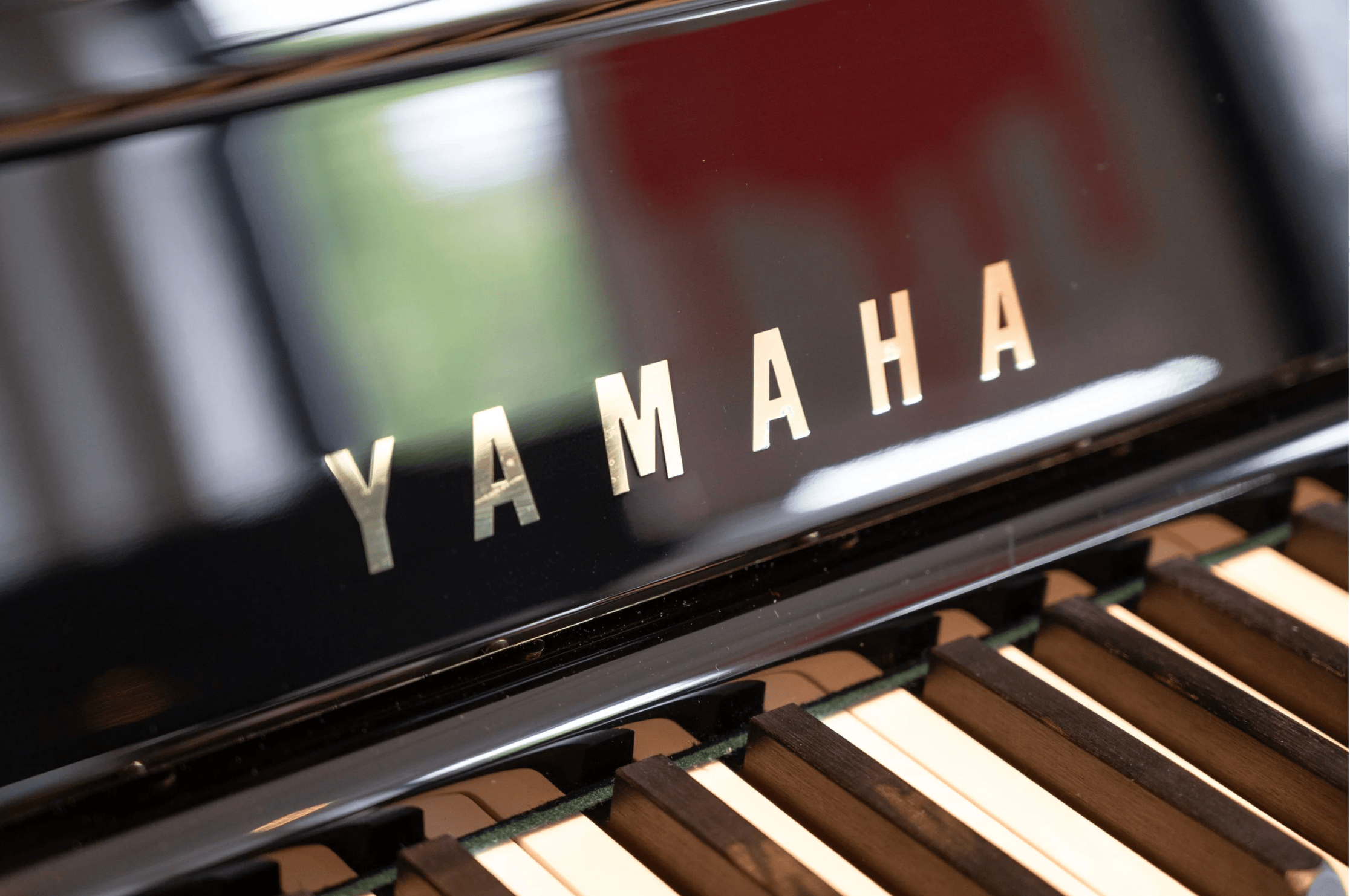 Yamaha YUS5 2026-05-04 at 5.39.38 PM.png