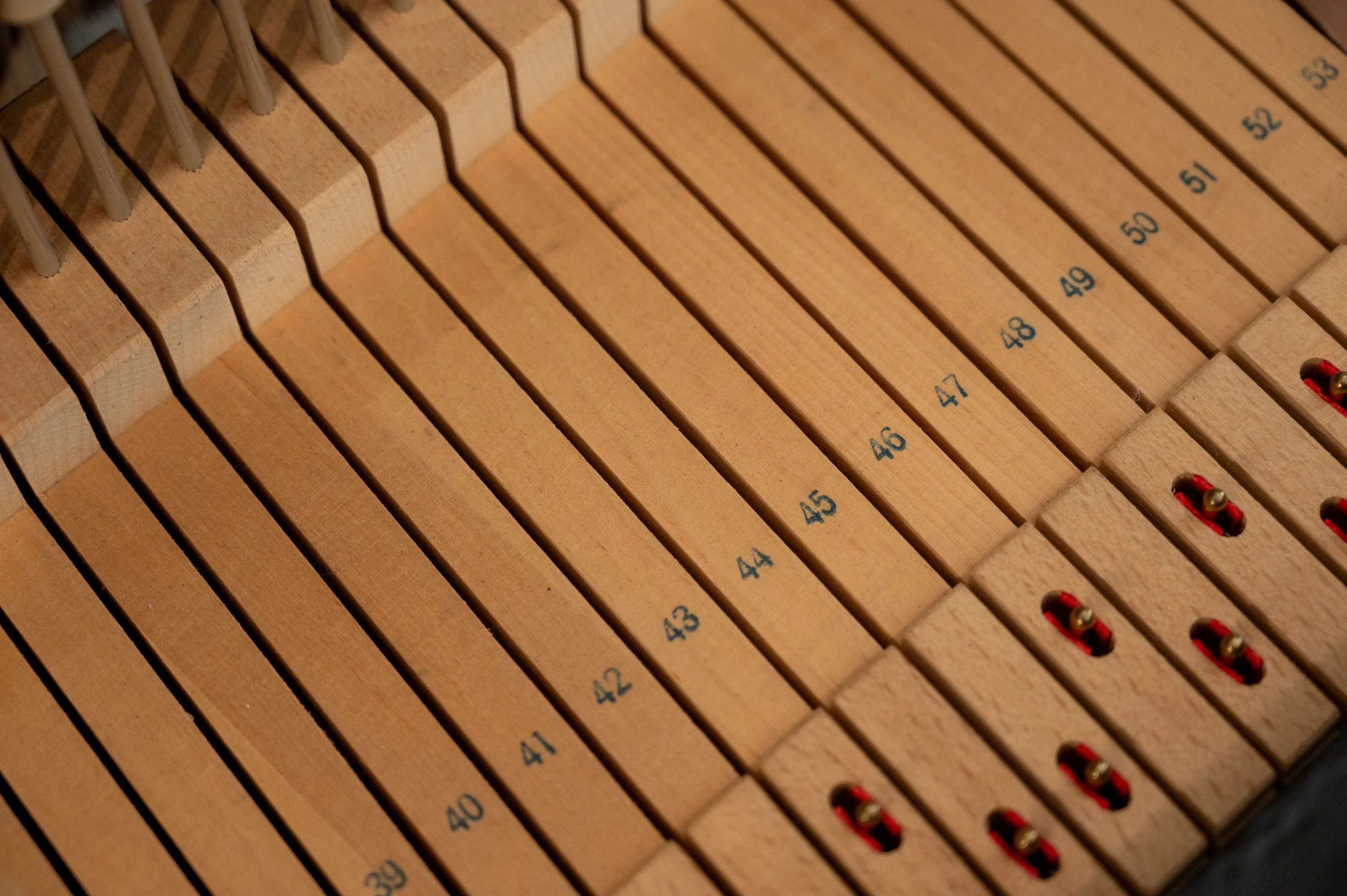 DSC_8156.jpg