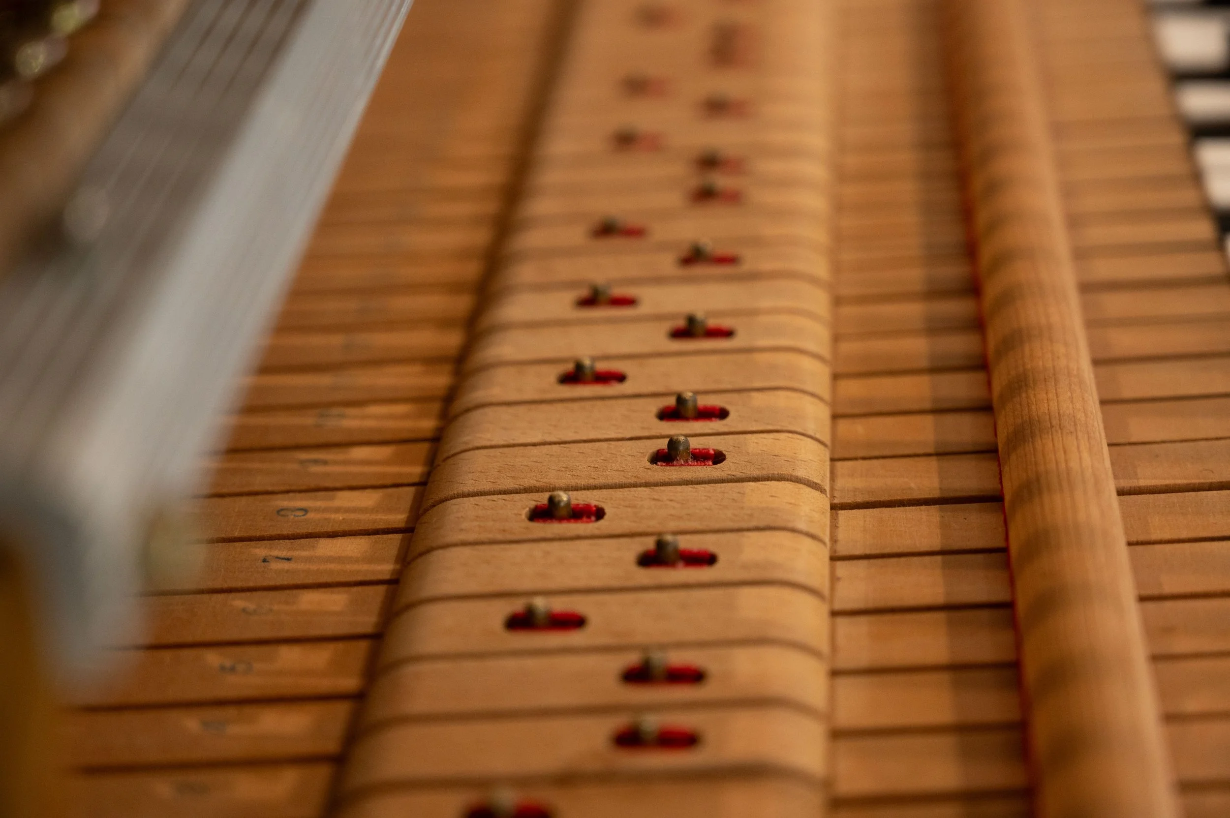 DSC_6789.jpg