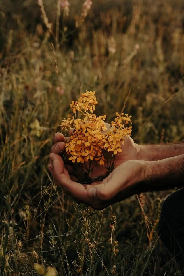 Trauma Does Not Mean You Are Broken