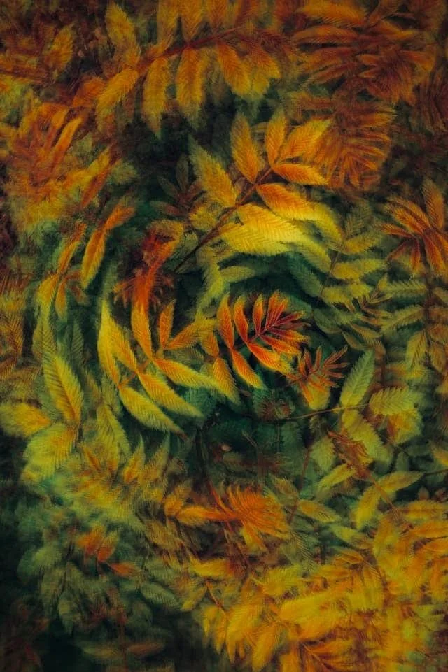 Why Life Transitions Can Feel Harder Than We Expect