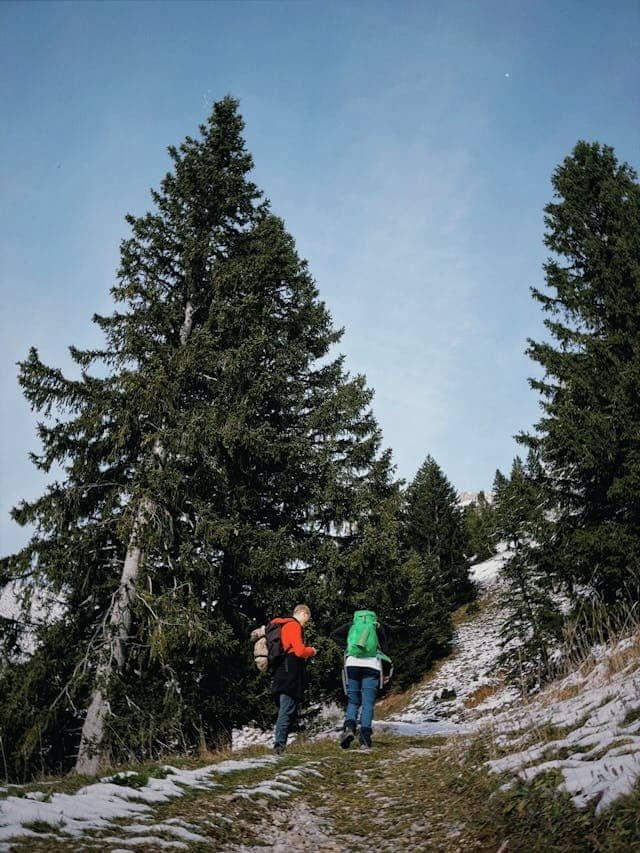 two hikers on a mountain trail