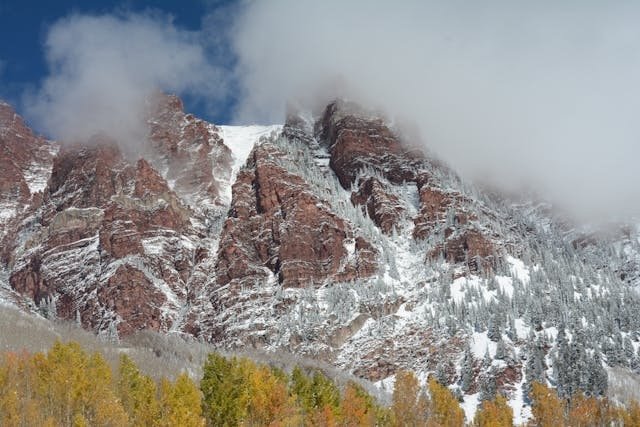 mountain with snow and yellow trees