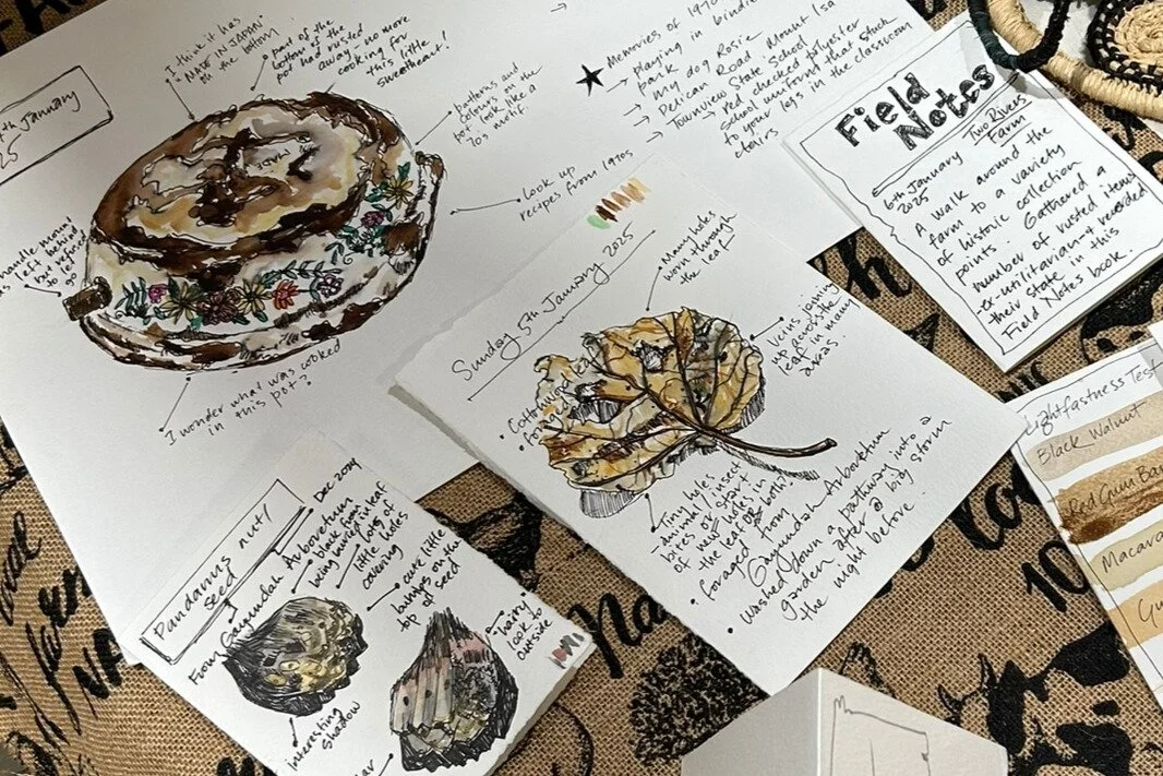 Collection of handwritten notes and sketches about field trips and nature, including drawings of a cinnamon bun, a yellow leaf, and a black walnut. Notes describe experiences and observations from visits to parks and nature areas.