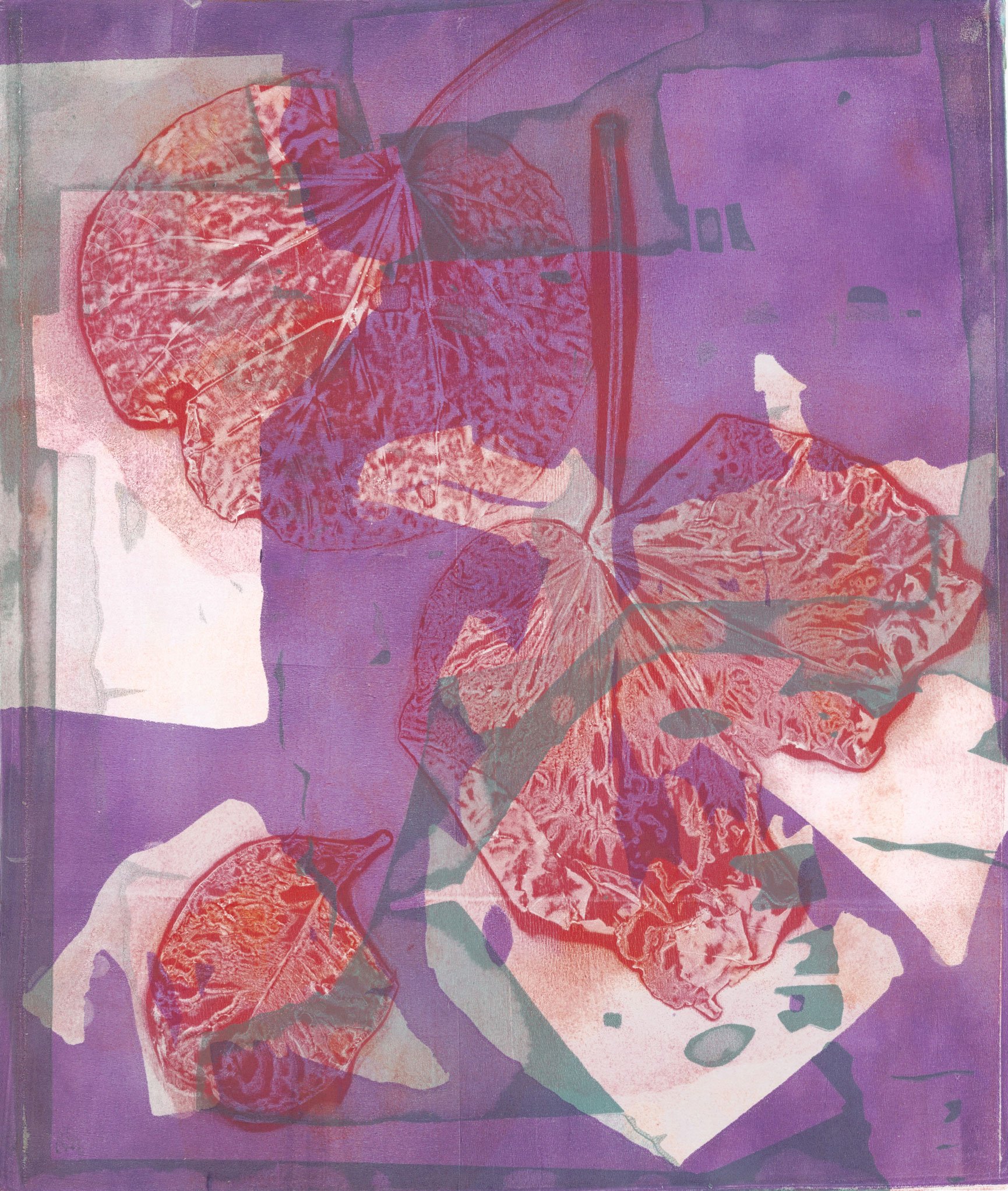 Abstract art with overlapping leaves and shapes in shades of purple, red, orange, and green.