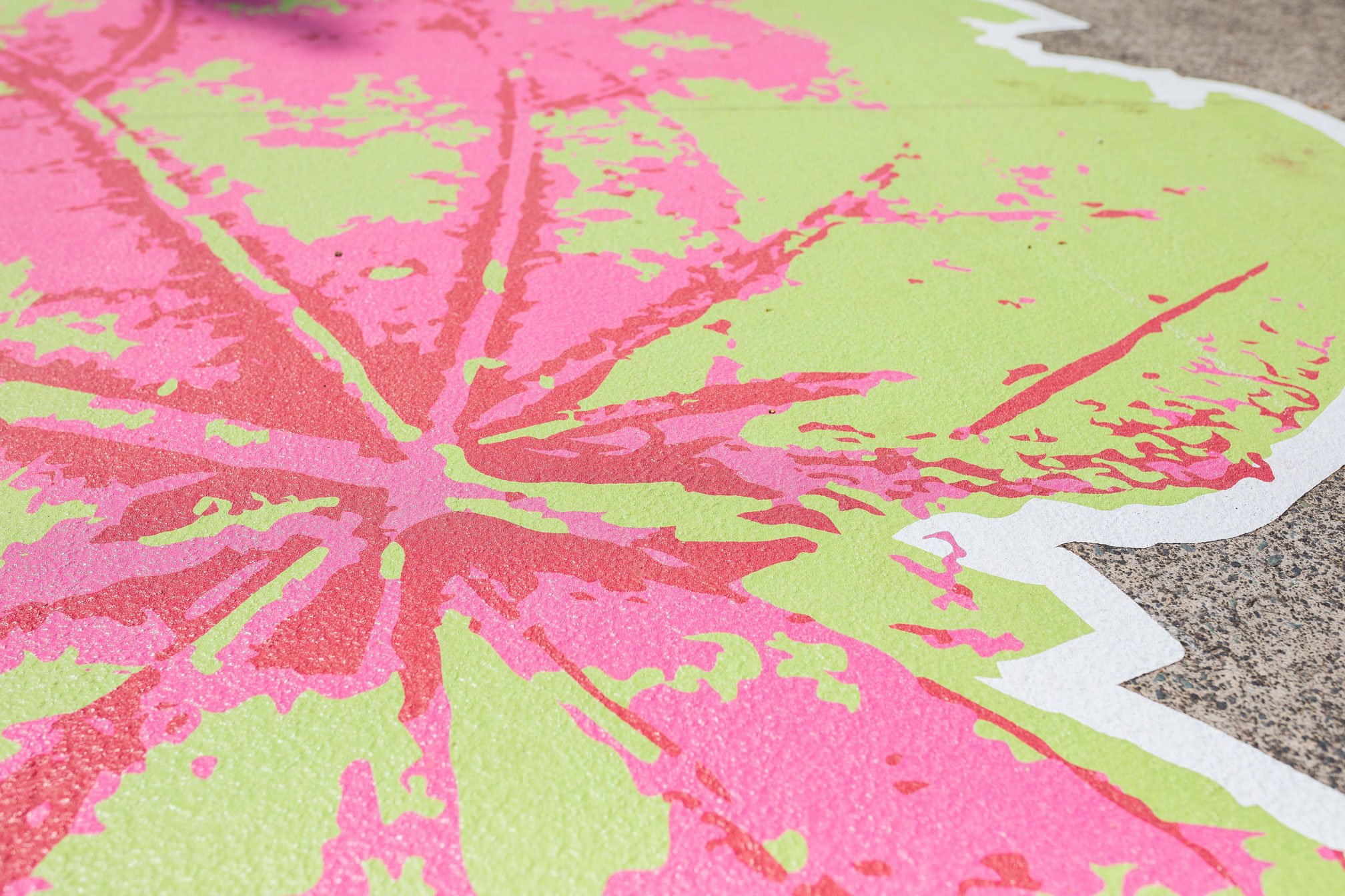Close-up of a colorful sidewalk chalk art depicting a pink and green leaf, laid on concrete pavement.