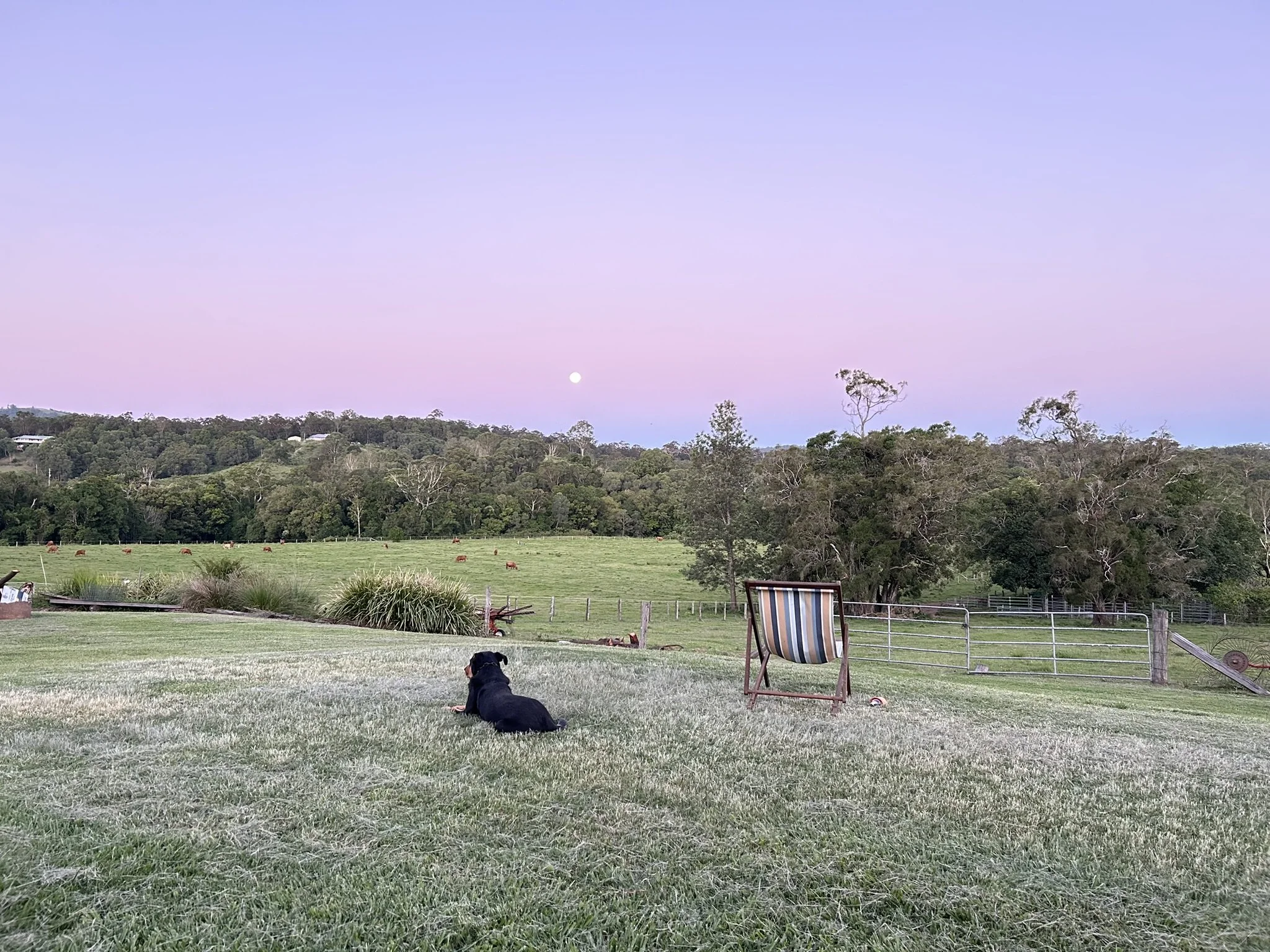 A peaceful rural scene at dusk with a black dog lying on the grass, an empty striped deck chair, and a scenic background of green fields, trees, and rolling hills under a pastel-colored sky with the moon visible.