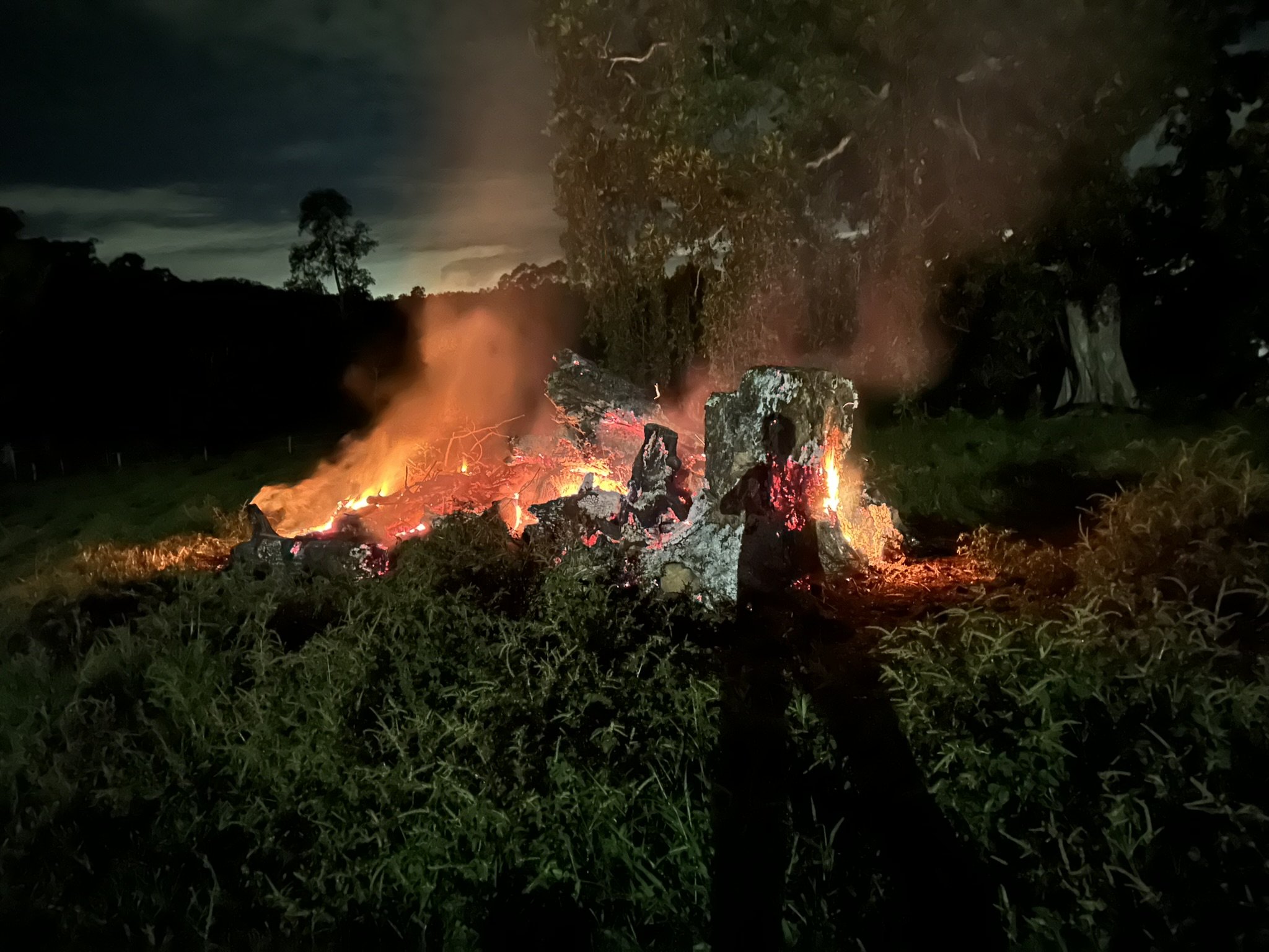 Fires burning on a grassy field during nighttime with smoke rising and trees in the background.