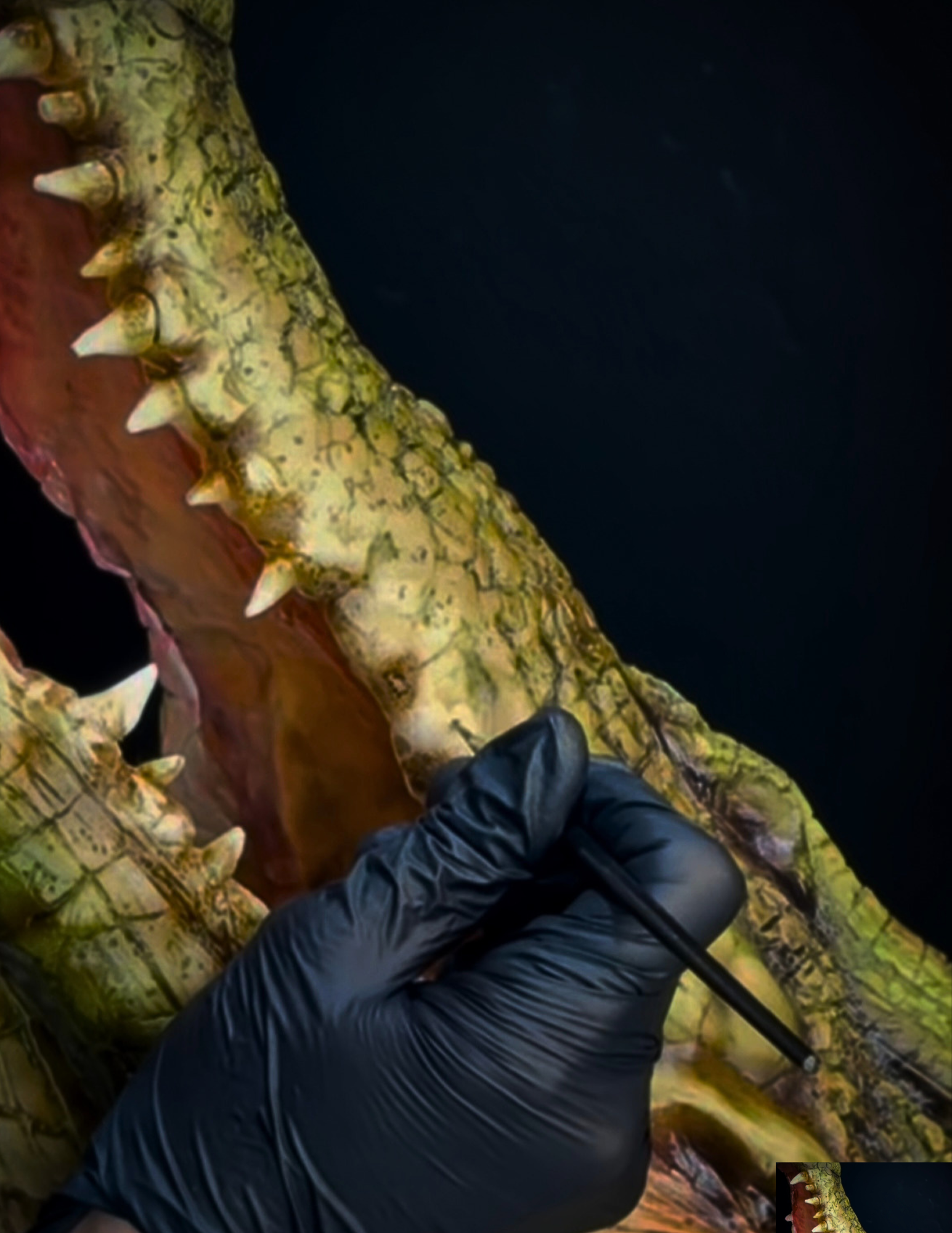 WELCOME CROC STUDY (2).png
