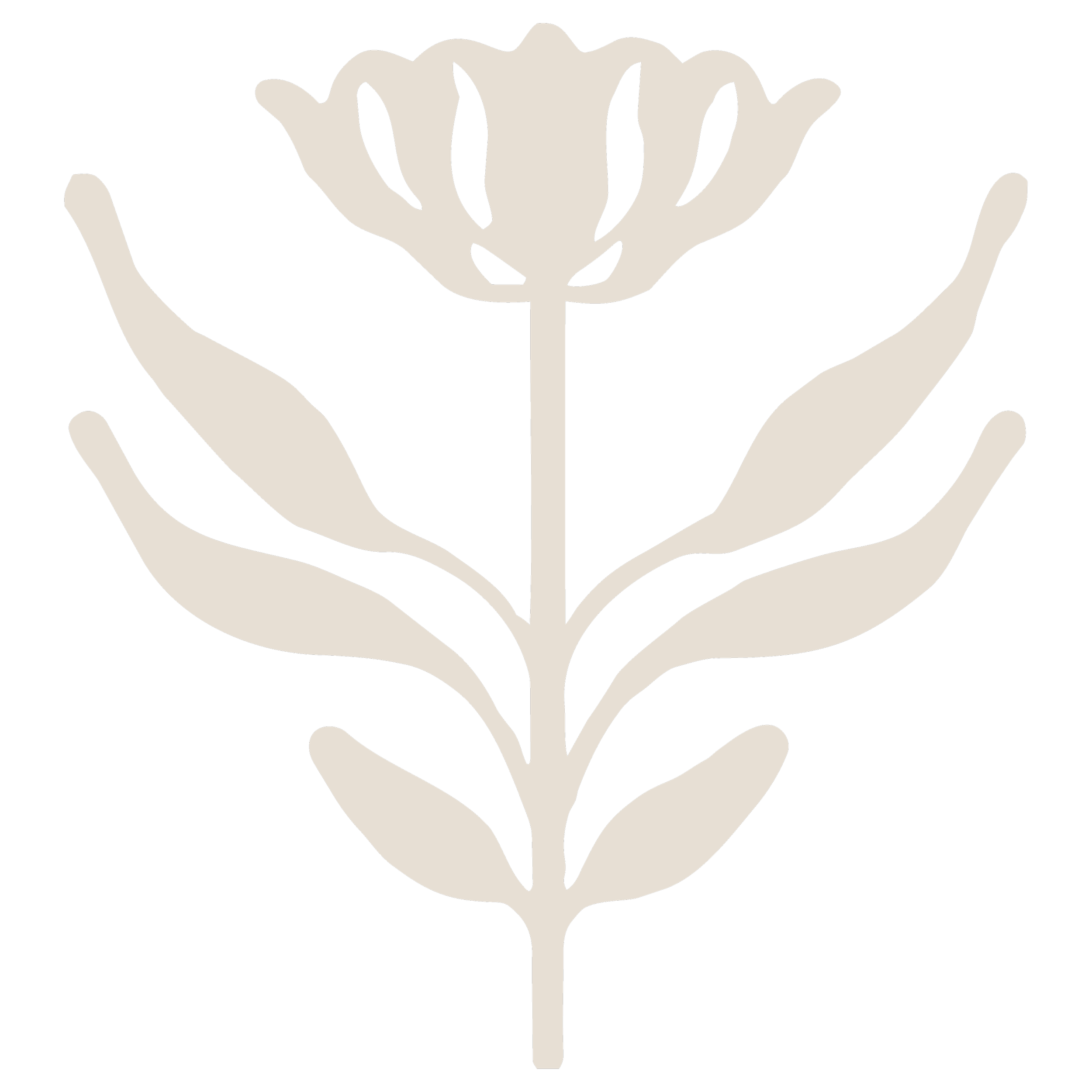 Stylized beige flower with leaves on a black background.