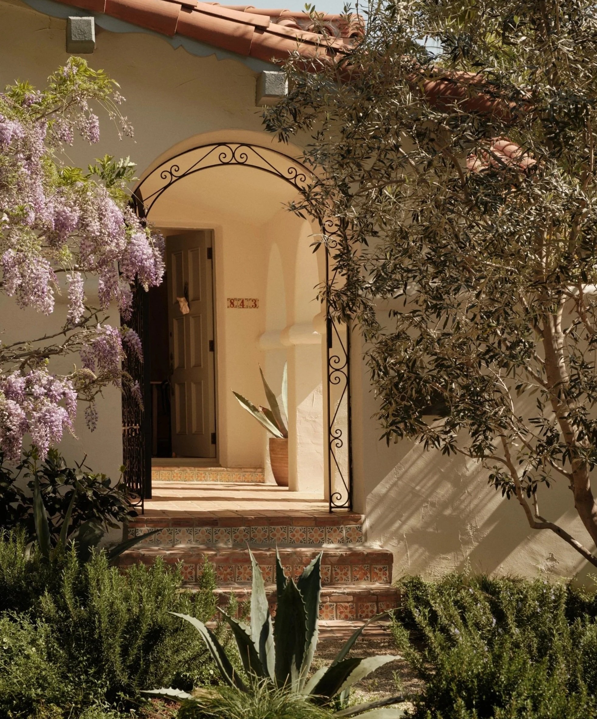 The entrance to a house with steps leading up to a porch. The house has a white facade, a curved archway, and a tiled roof. There are plants and trees, including a flowering tree with purple blossoms and a large agave plant, framing the doorway.