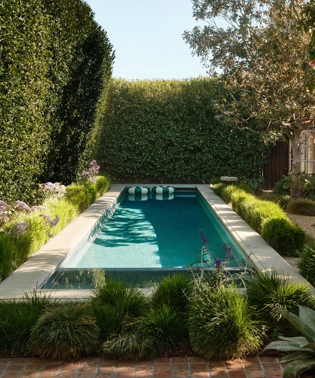 Small backyard swimming pool surrounded by lush green hedges and plants, with a brick patio in the foreground.