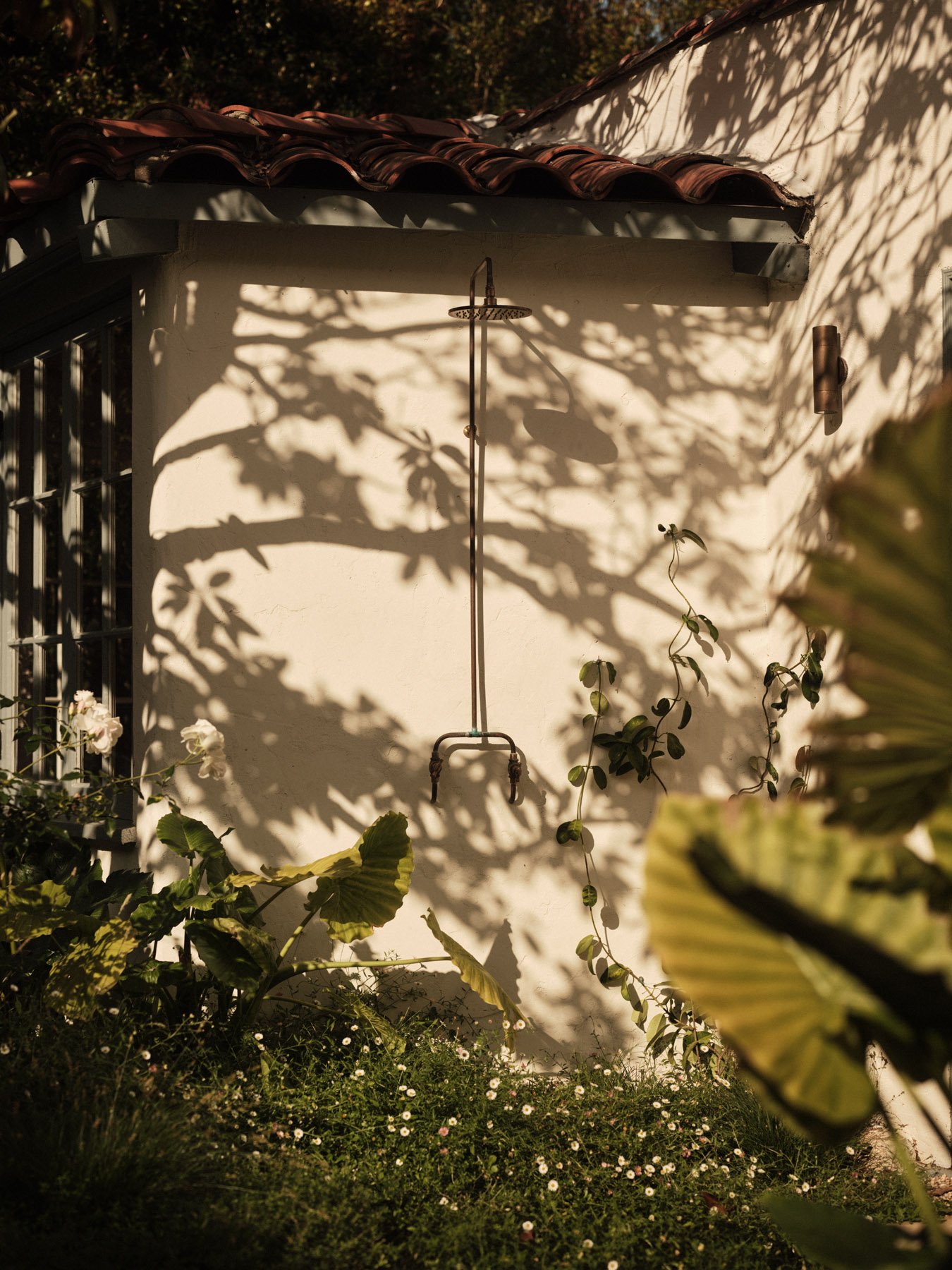 Sunlit garden scene with shadow of tree branches on a white exterior wall, illustrating a garden sprinkler and surrounding plants.
