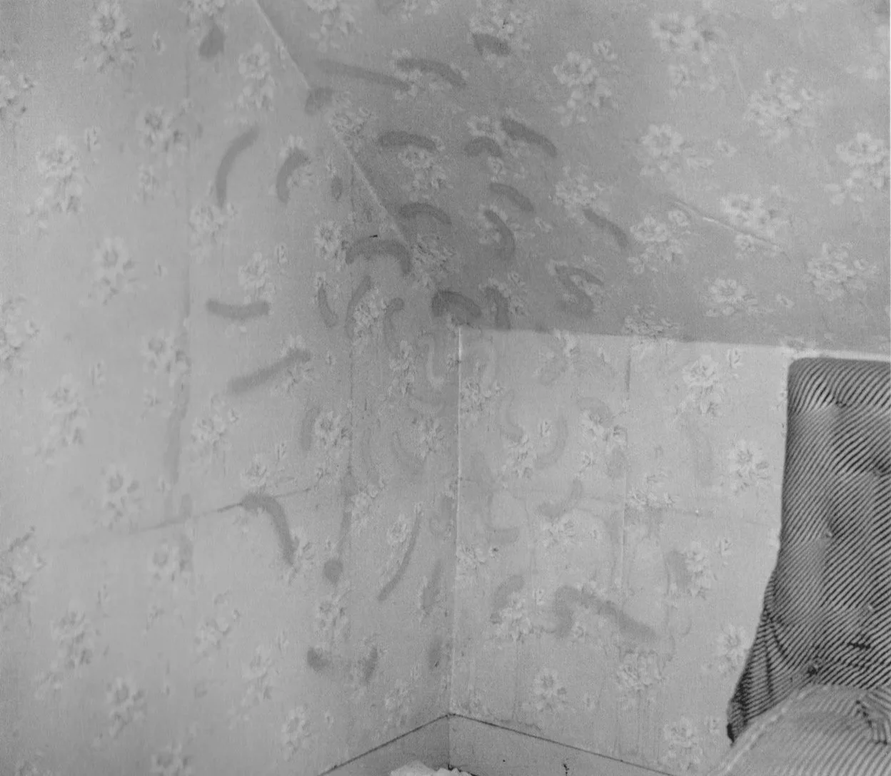 john+divola.jpg