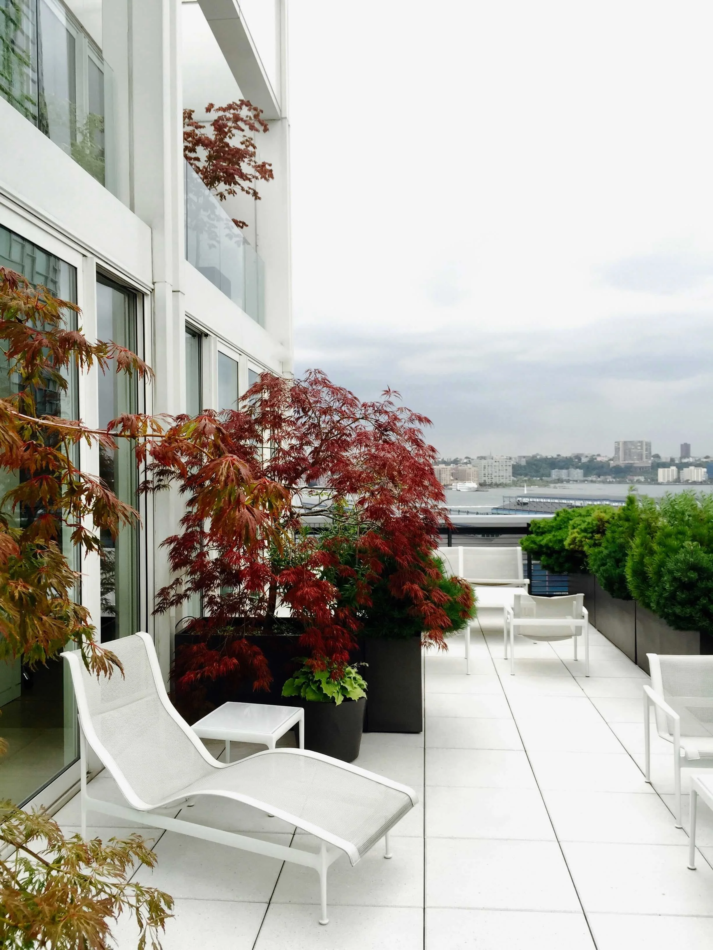 MSH 057-richard-shultz-for-knoll-shigeru-ban-architect-japan-metal-shutter-houses-former-estate.jpeg