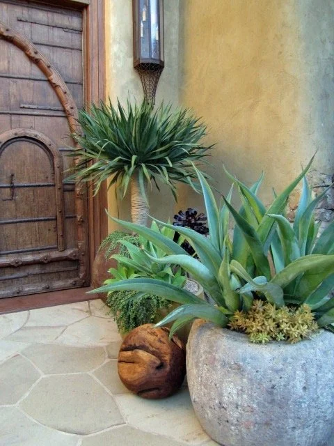 HH-027-will-smith-calabasas-landscape-design-plantscape-AD.jpg