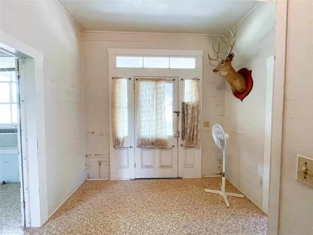 taxidermy.jpeg