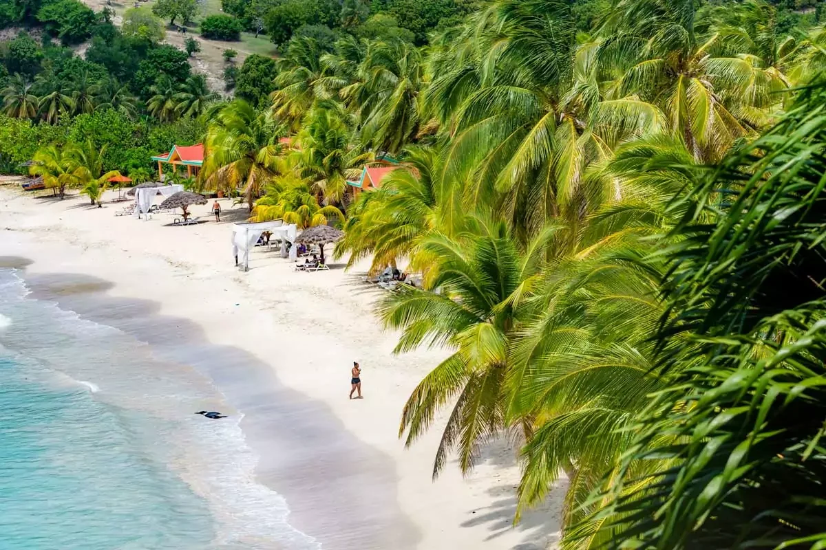 🌴 Île‑à‑Vache-The Hidden Caribbean Paradise