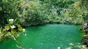 Bassinet Waka-Port Margot.jpeg