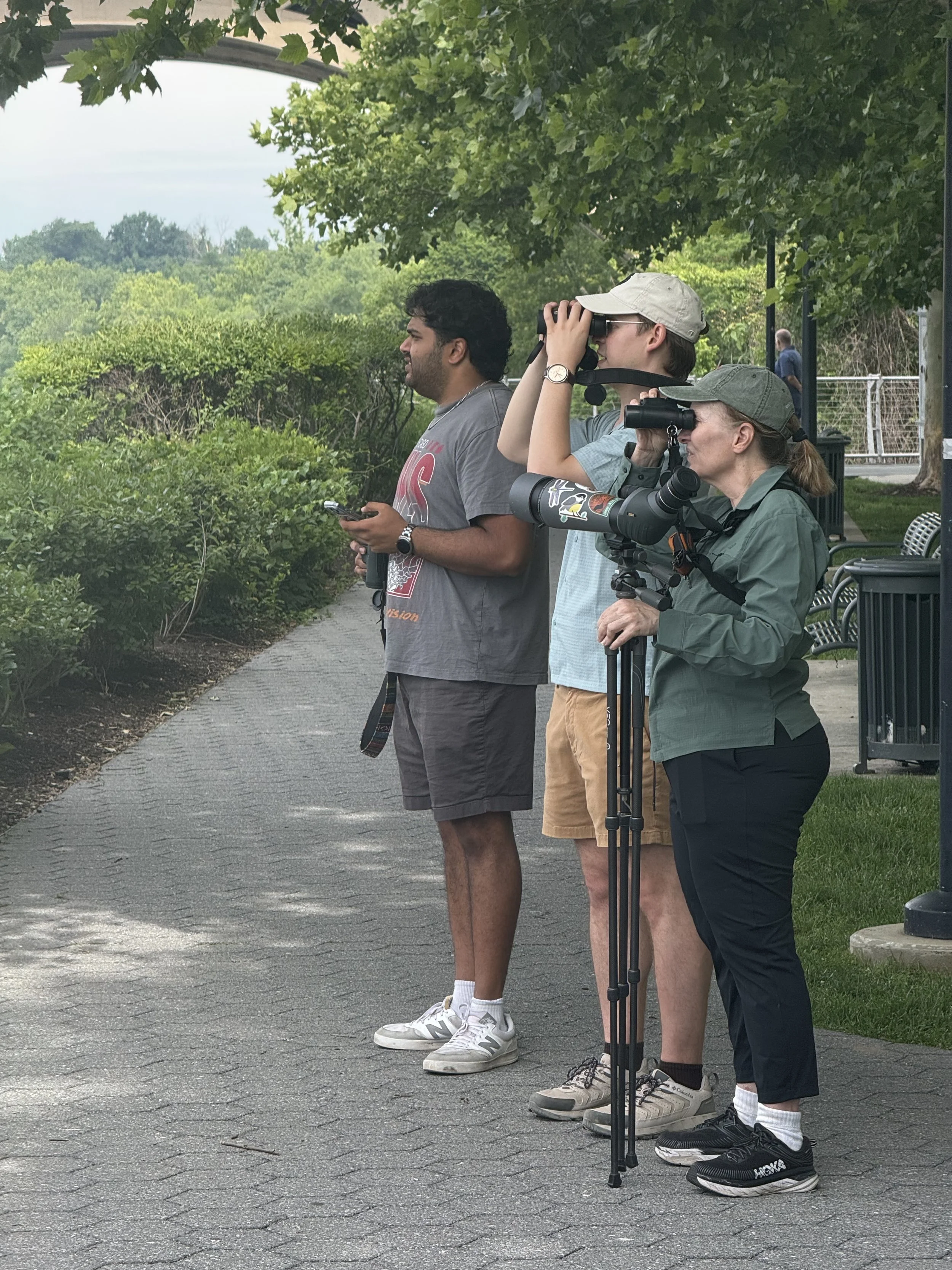(SOLD OUT) Purple Martins at Georgetown Waterfront Park with DC Bird Alliance