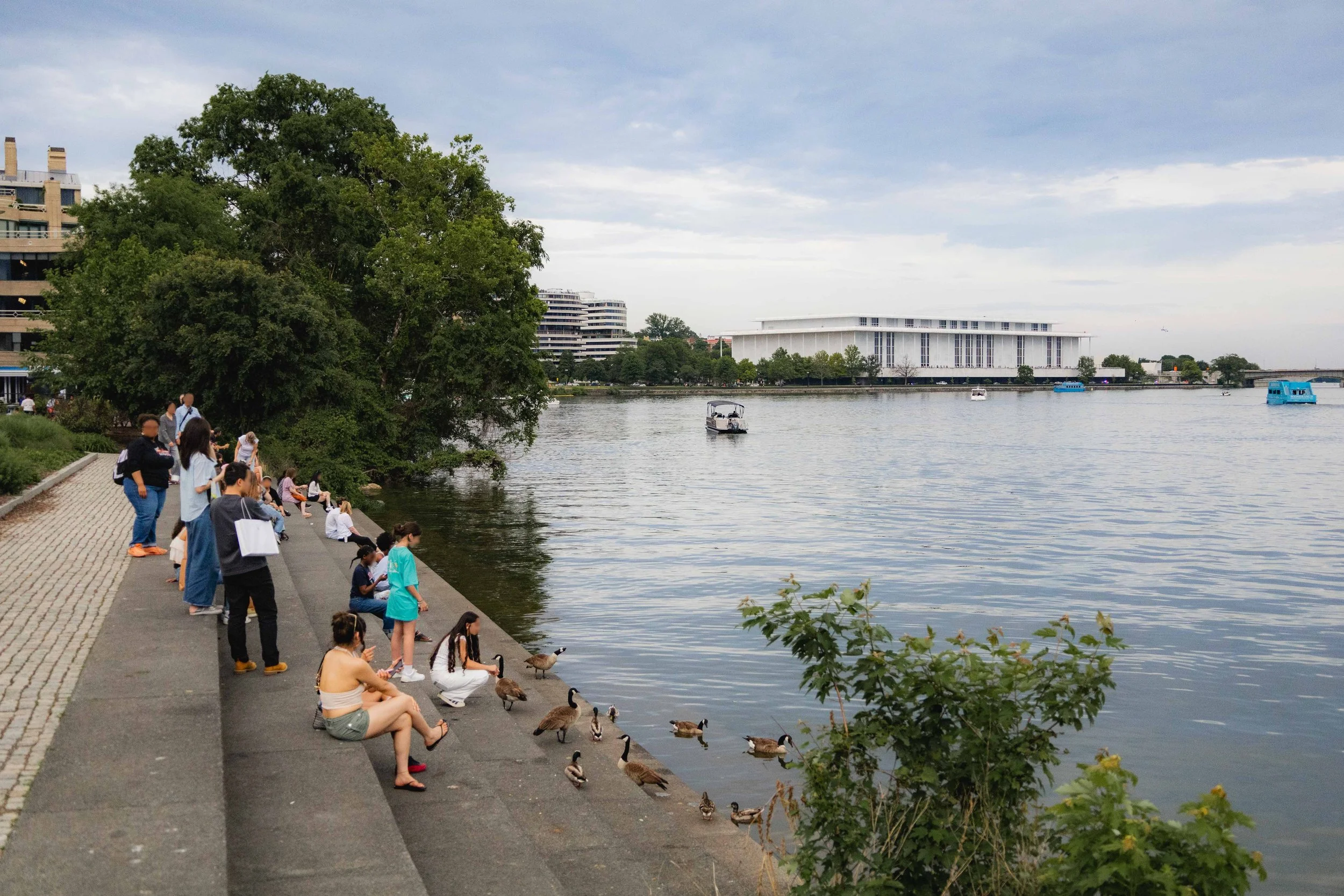 River Steps