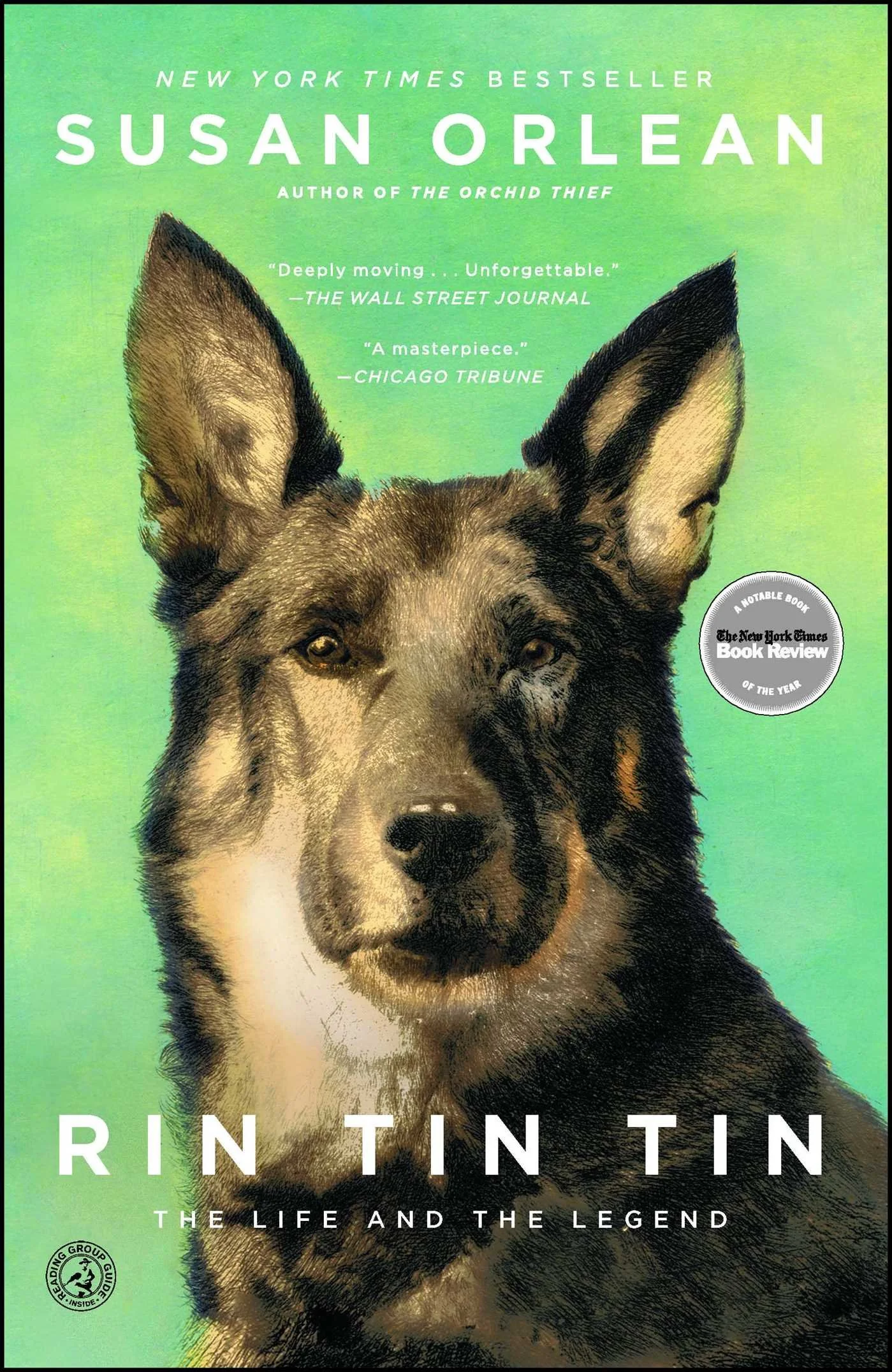 rin-tin-tin-9781439190142_hr.jpg