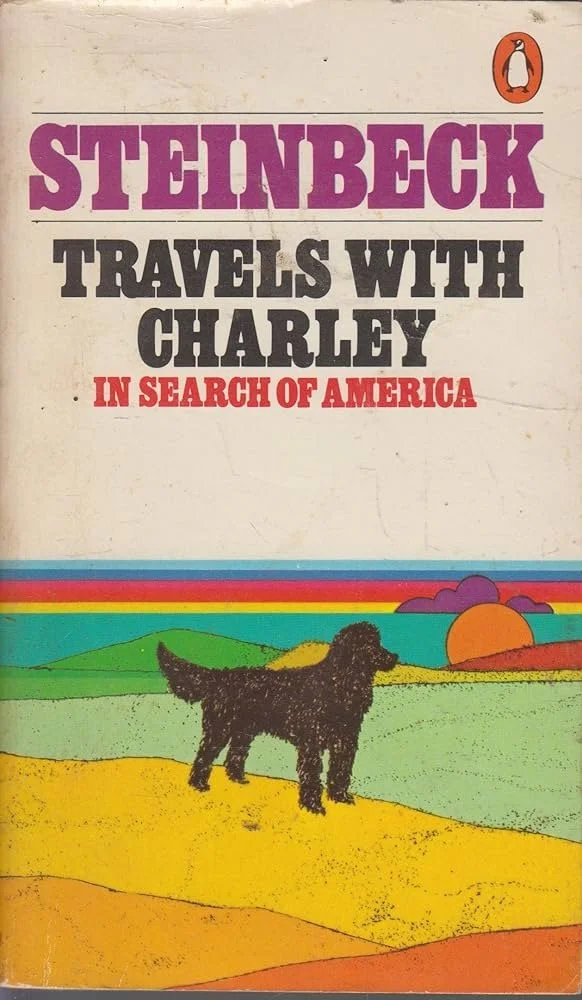 91eyncQ0ksL._AC_UF1000,1000_QL80_.jpg