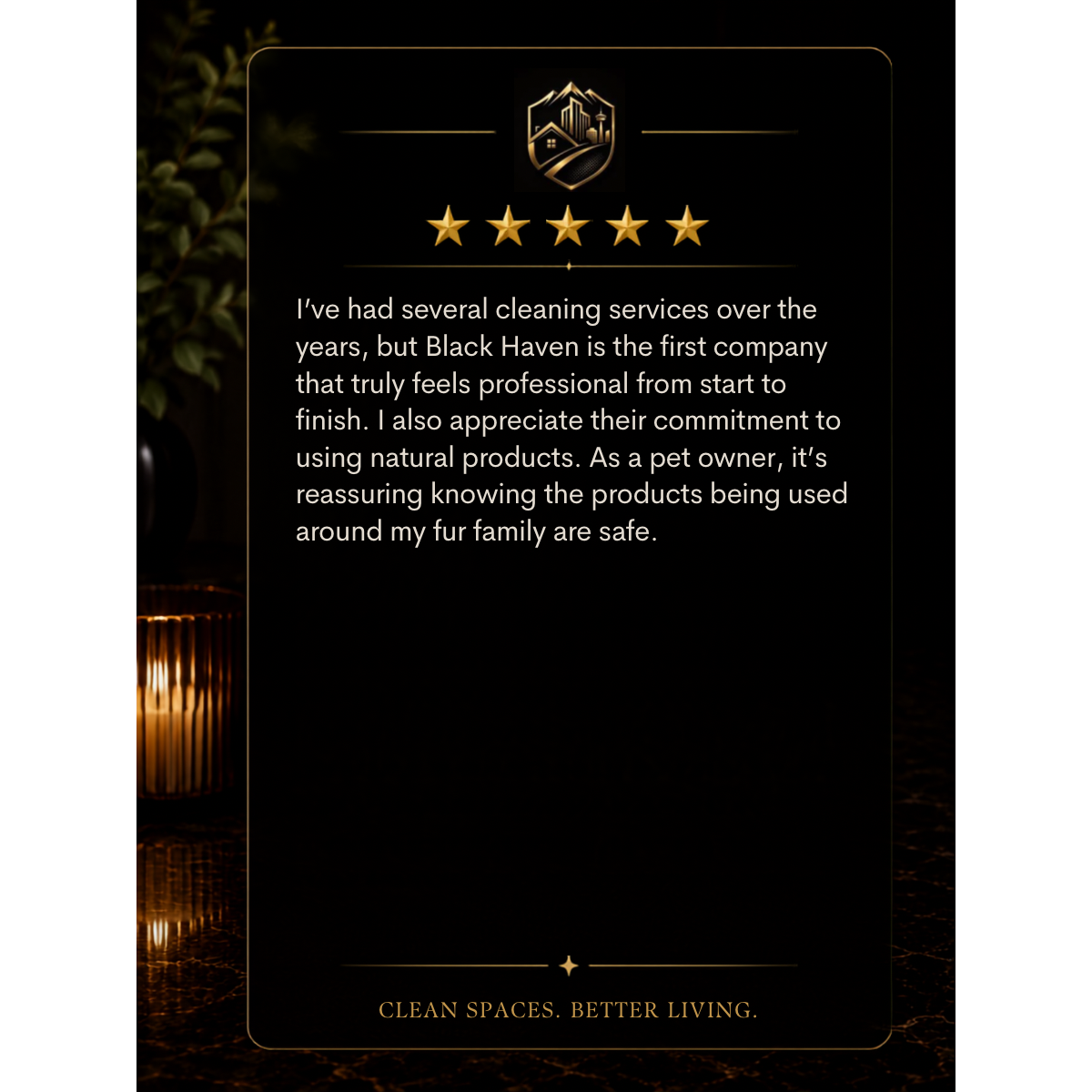 Five-star review for Black Haven cleaning service, praising their professionalism and use of natural products, with a dark background and gold accents.