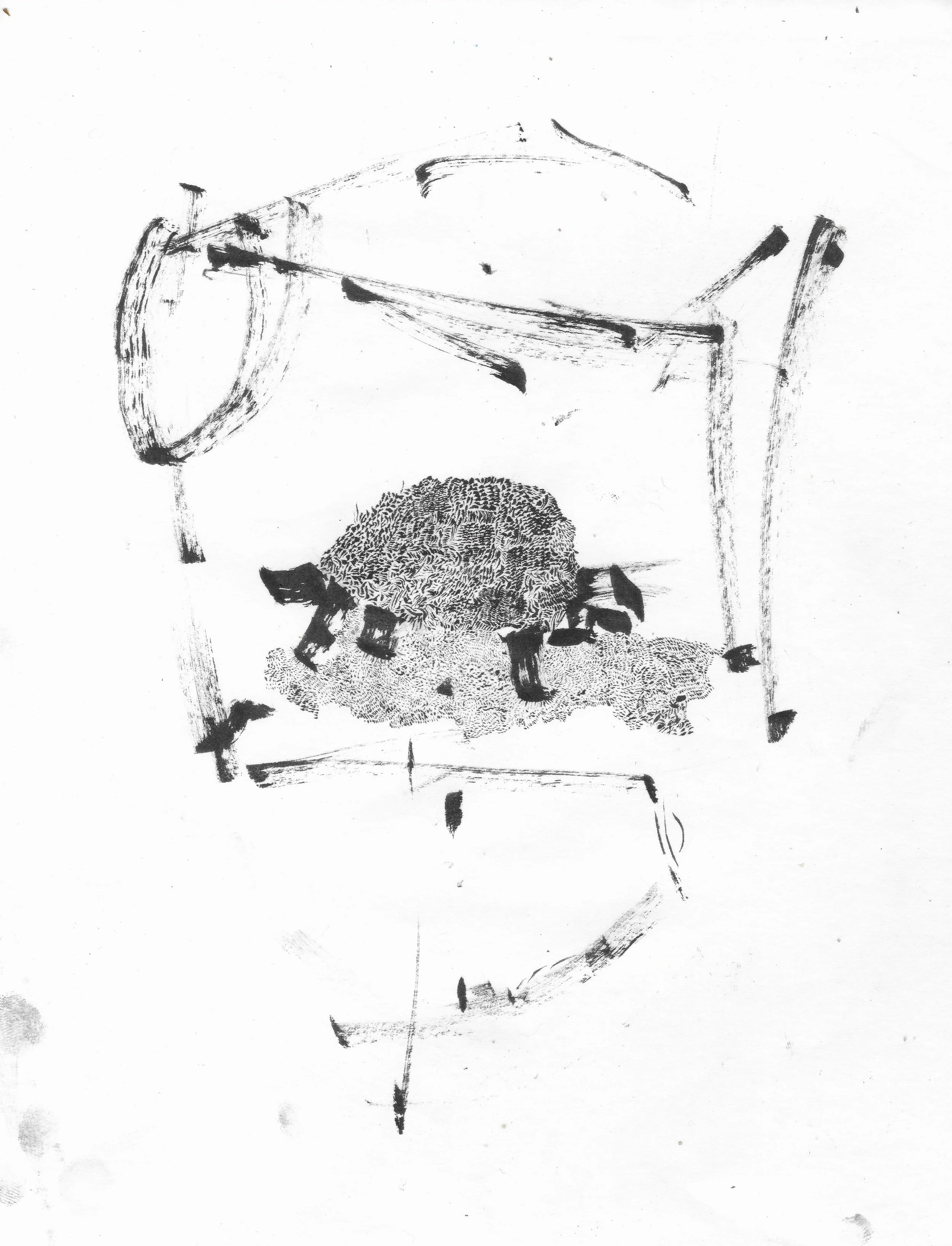 Year of the Turtle
