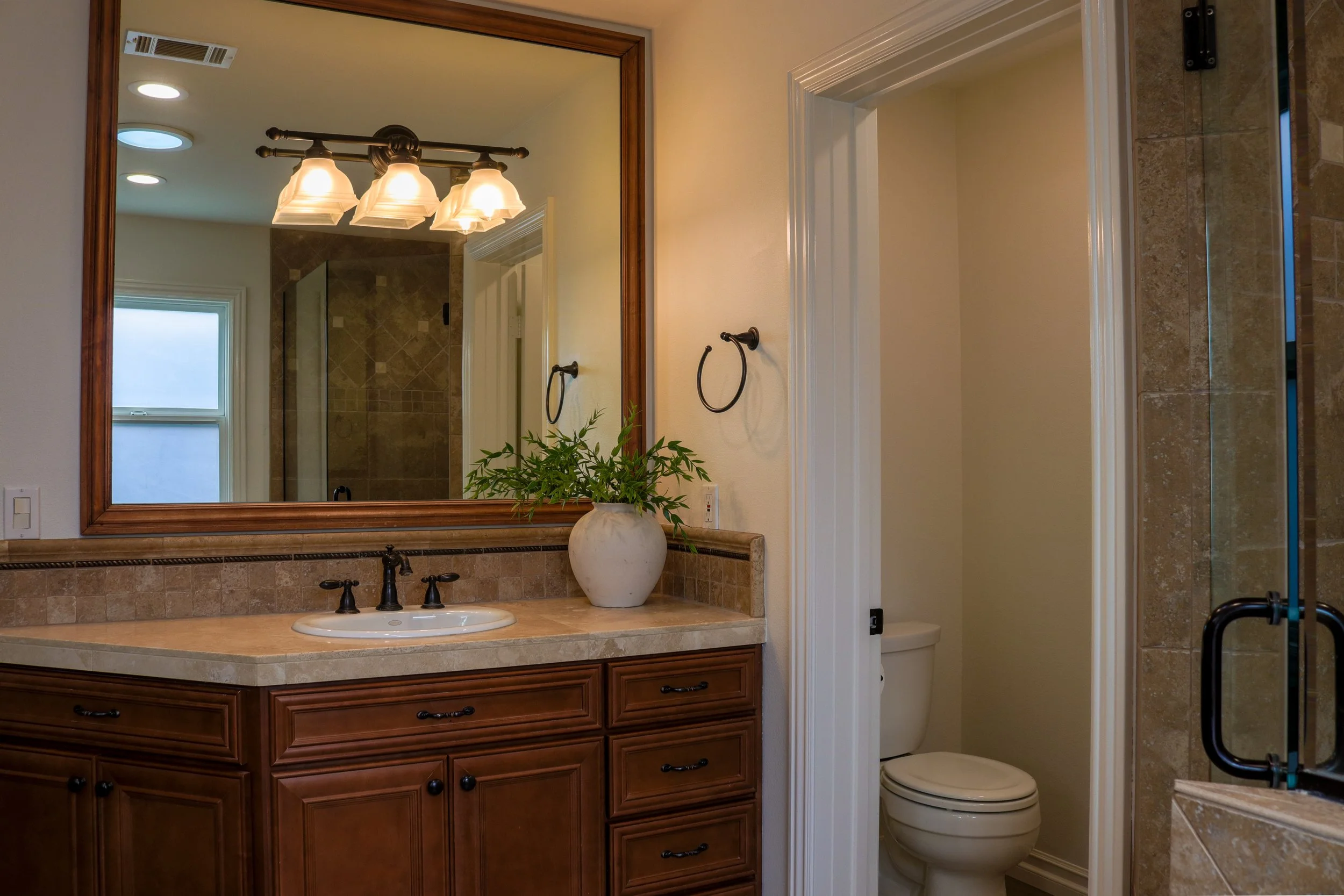 Bathroom mirror over a sink with a potted plant, a light fixture with four bulbs, and a window in the background showing the sky.