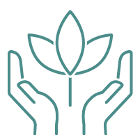Outline of two hands holding a stylized plant with leaves.